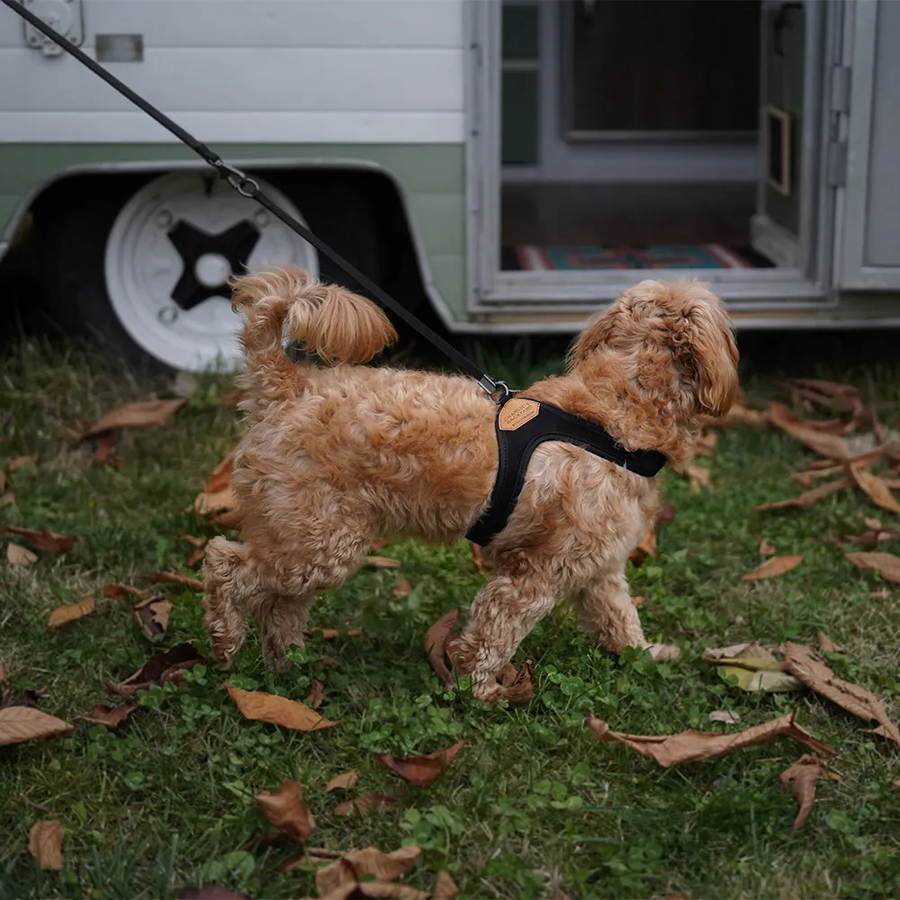 Charlie's Backyard Adjustable Easy Harness Black
