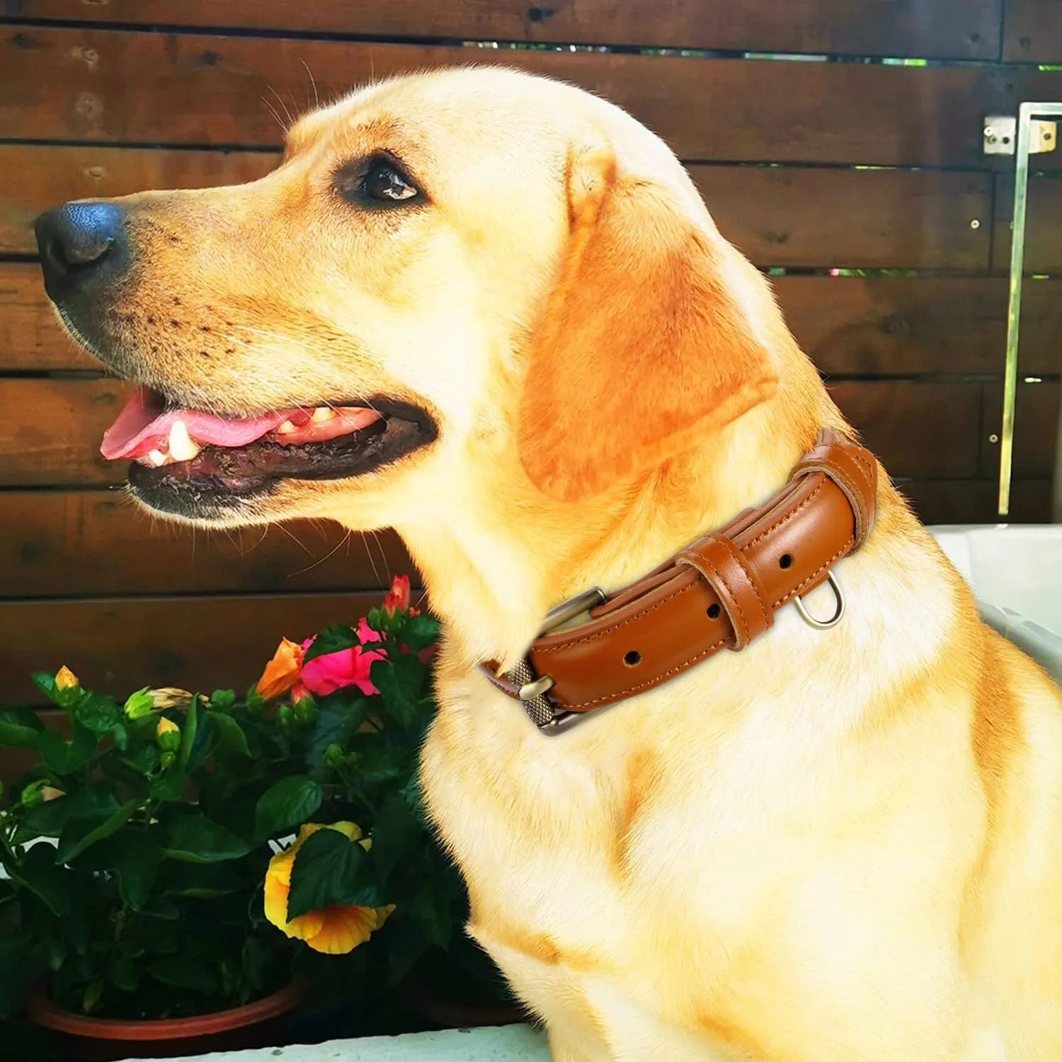 CHEDE Basic Classic Luxury Padded Genuine Leather Dog Collar，Heavy Duty Dog Collar，Soft and Strong Leather Collars with Metal Buckle，Wide Dog Collar for Large Medium Small Pets (Brown, M)