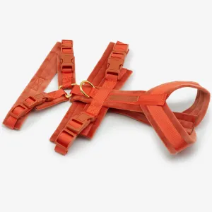 Cognac Y-Harness XS