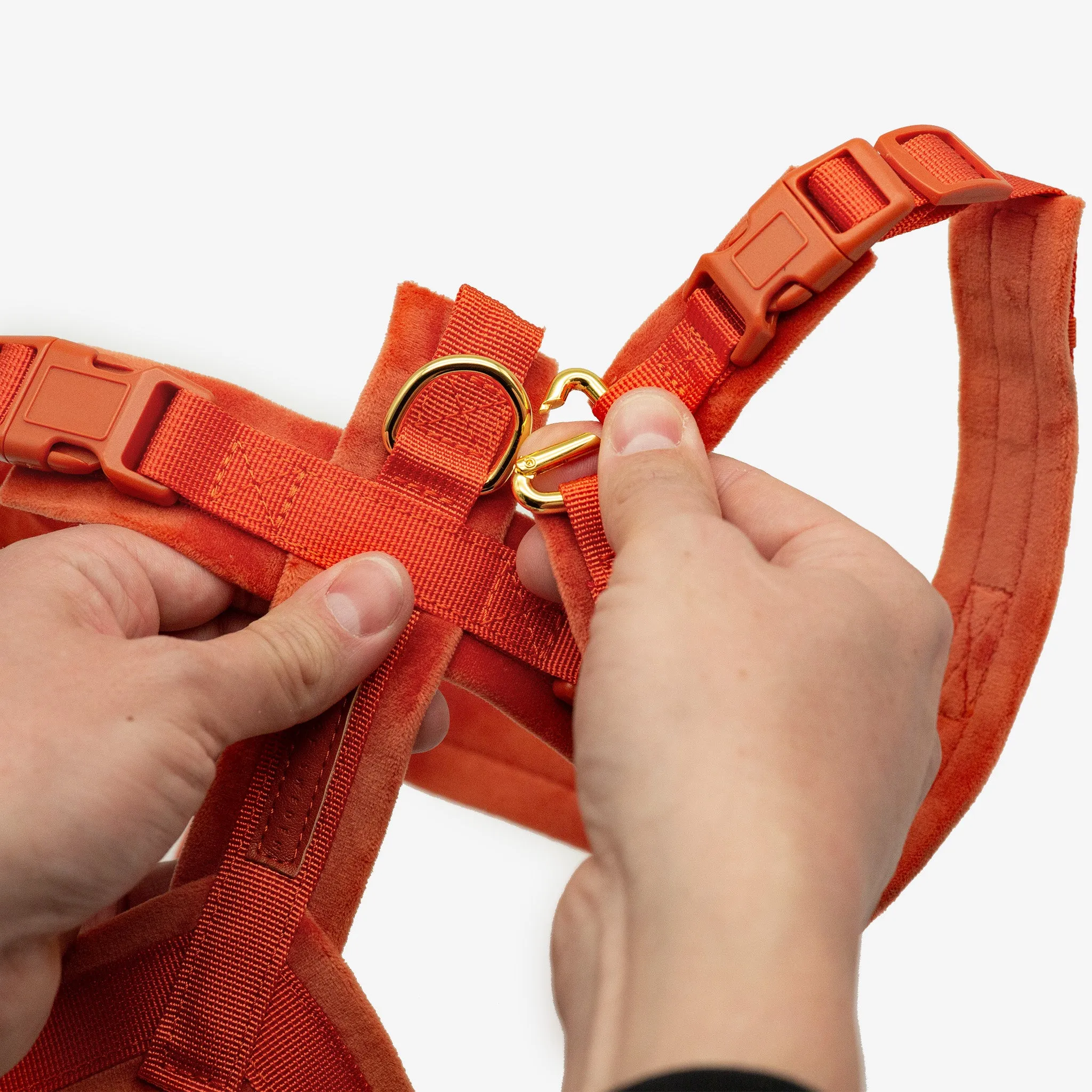 Cognac Y-Harness XS