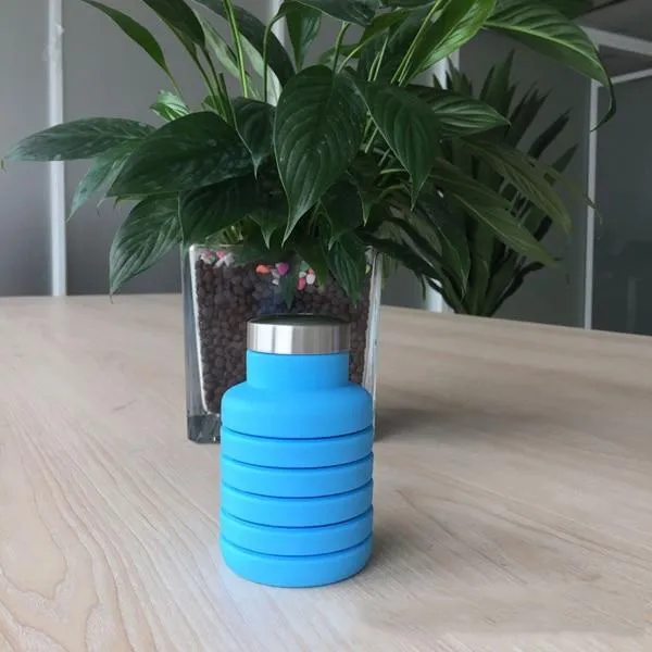 Collapsible Silicone Water Bottle
