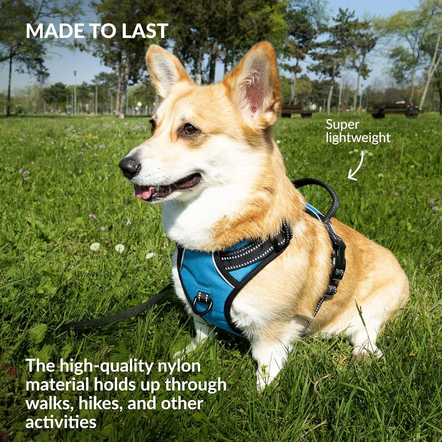 CollarDirect No Pull Reflective Dog Harness with Handle and Front Clip, Adjustible Soft Padded Vest for Small to Large Dogs Training and Walk (Size L, Light Blue)