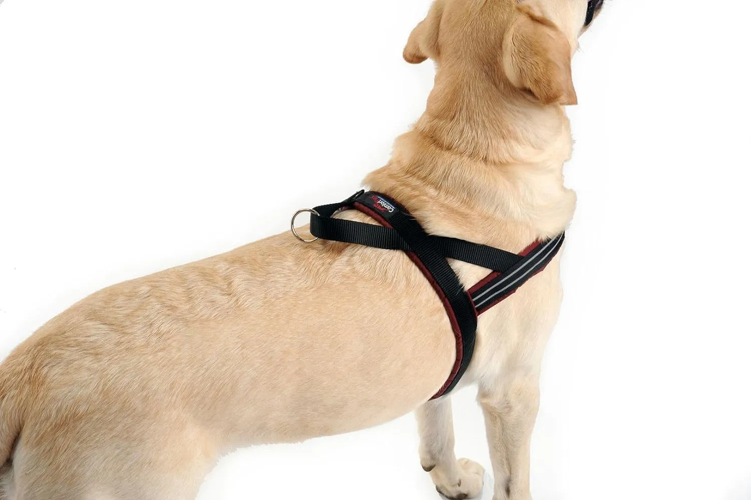 ComfortFlex Sport Dog Harness - Made in The USA - Fully Padded, Reflective, Adjustable, Lightweight No-Choke, No-Pull, Non-Chafing Design for Active Dogs, Enhanced Control, Medium, Purple