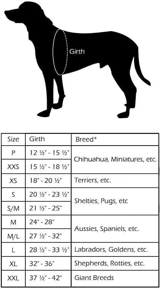ComfortFlex Sport Dog Harness - Made in The USA - Fully Padded, Reflective, Adjustable, Lightweight No-Choke, No-Pull, Non-Chafing Design for Active Dogs, Enhanced Control, Medium, Purple