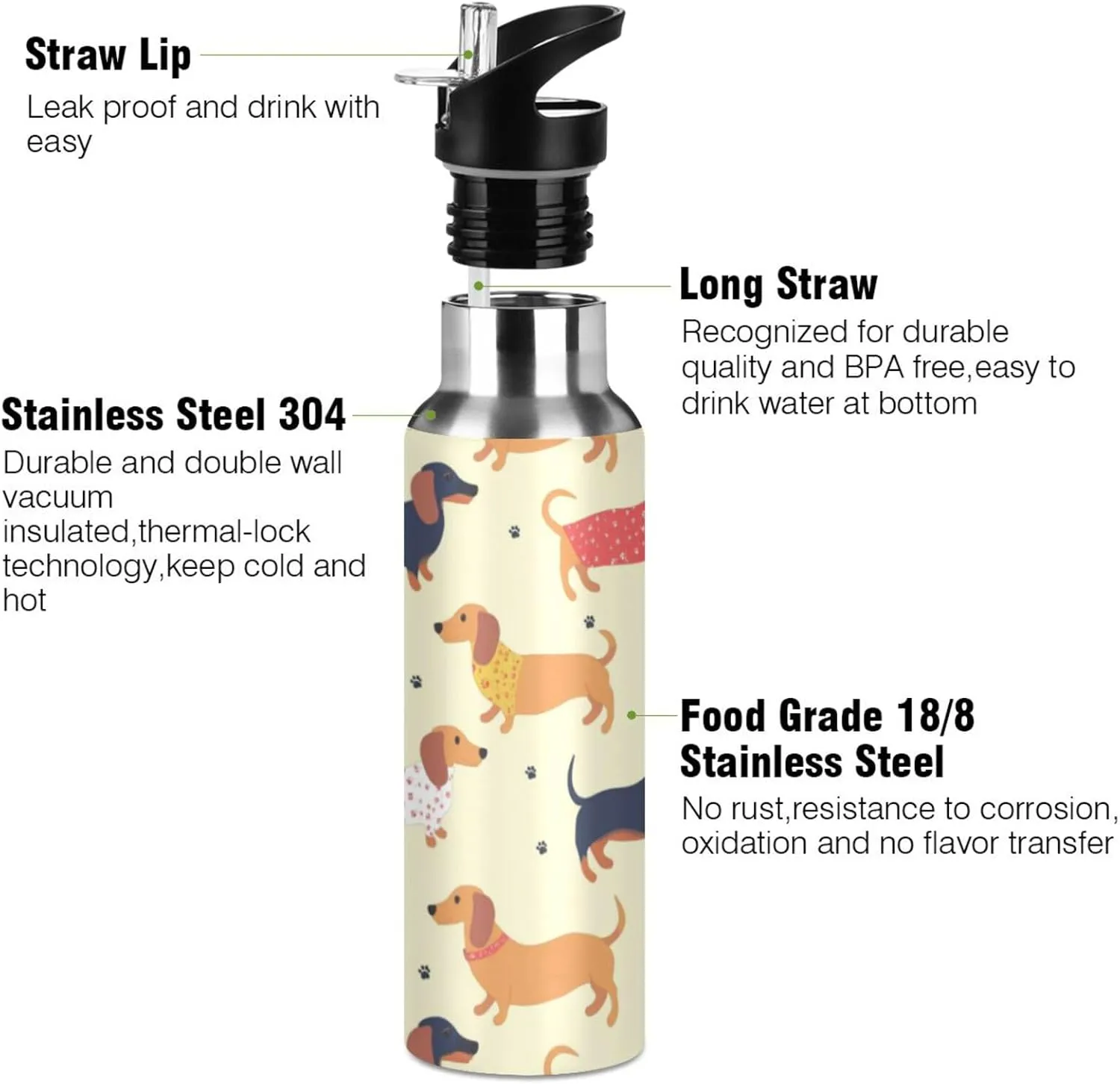 Cute Dachshunds Water Bottle with Straw Lid Double Wall Dogs Paws Thermos Bottle Vacuum Insulated Flask Stainless Steel Water Bottle for Gym Outdoor 20 OZ
