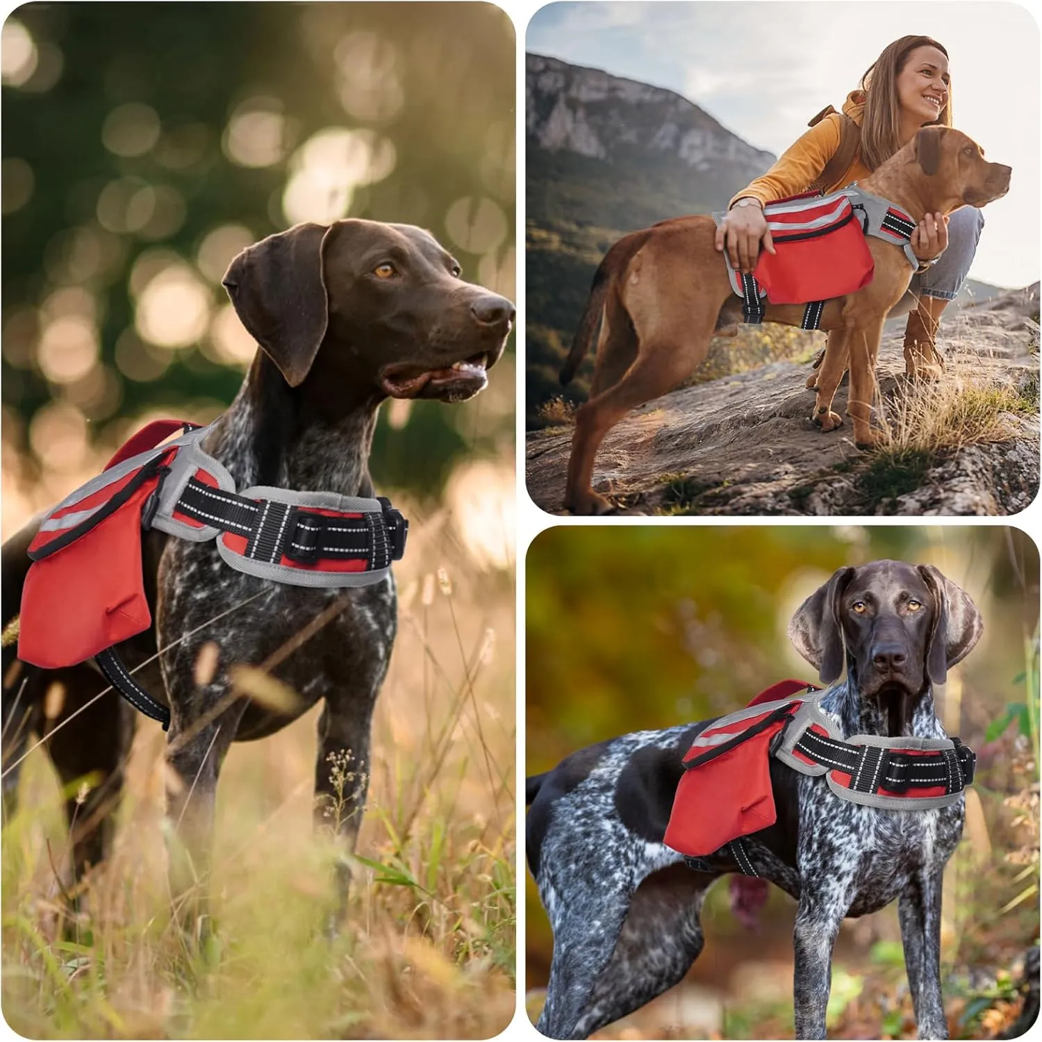DENTRUN Dog Hiking Backpack, Hound Dog Saddlebag Backpack, Nylon Dog Harness Vest with Side Pockets Hiking Pack, Dog Backpack Hiking Walking Training Running for Medium & Large Dogs