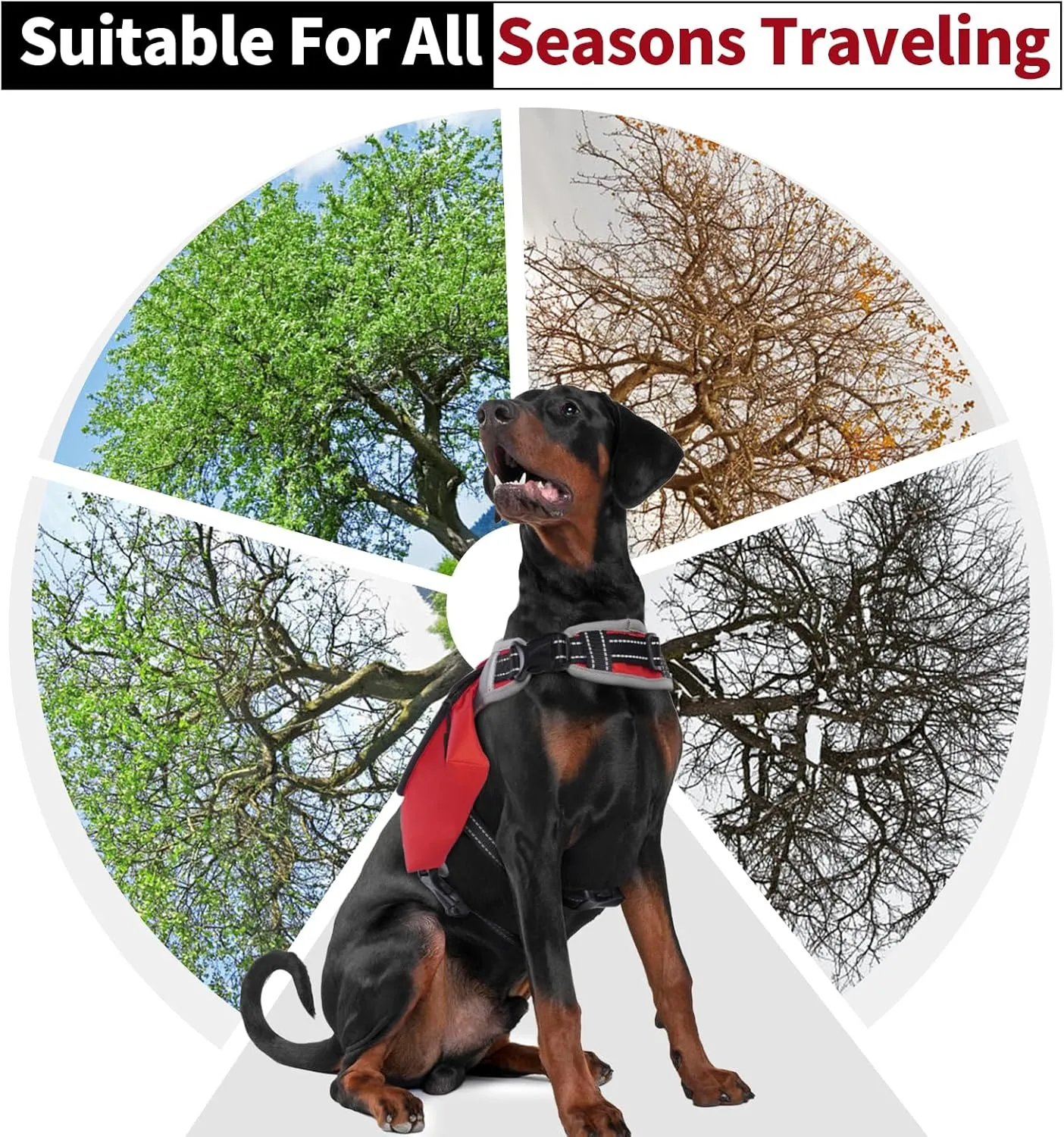 DENTRUN Dog Hiking Backpack, Hound Dog Saddlebag Backpack, Nylon Dog Harness Vest with Side Pockets Hiking Pack, Dog Backpack Hiking Walking Training Running for Medium & Large Dogs