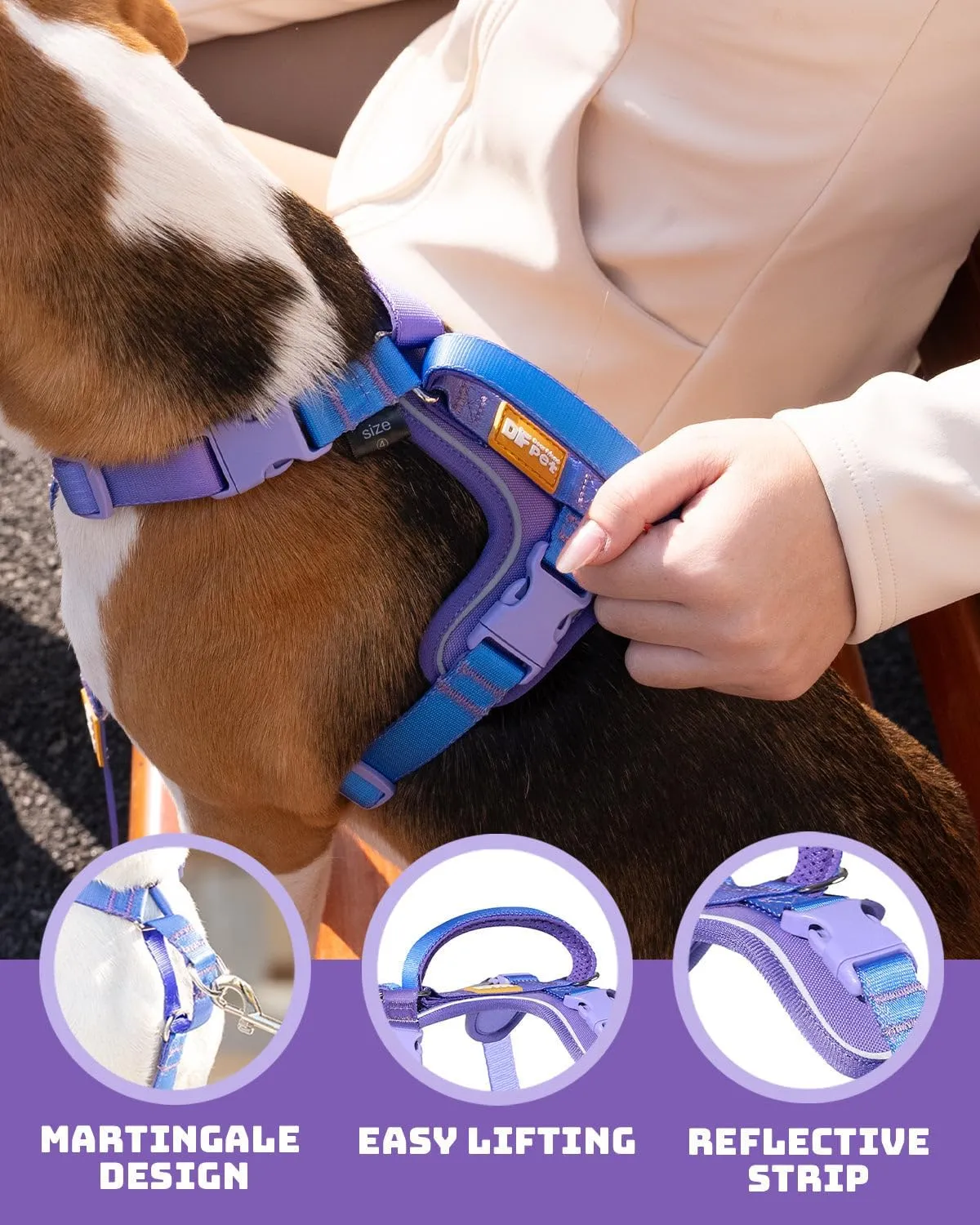 DF Freedom No Pull Martingale Dog Harness and Double-Ended Leash Set, Safety Control to Stop Pulling, Reflective & 5-Point Adjustable, Support Padded Handle, Rainbow Pro, 3/4", Chest 20" - 26.8"