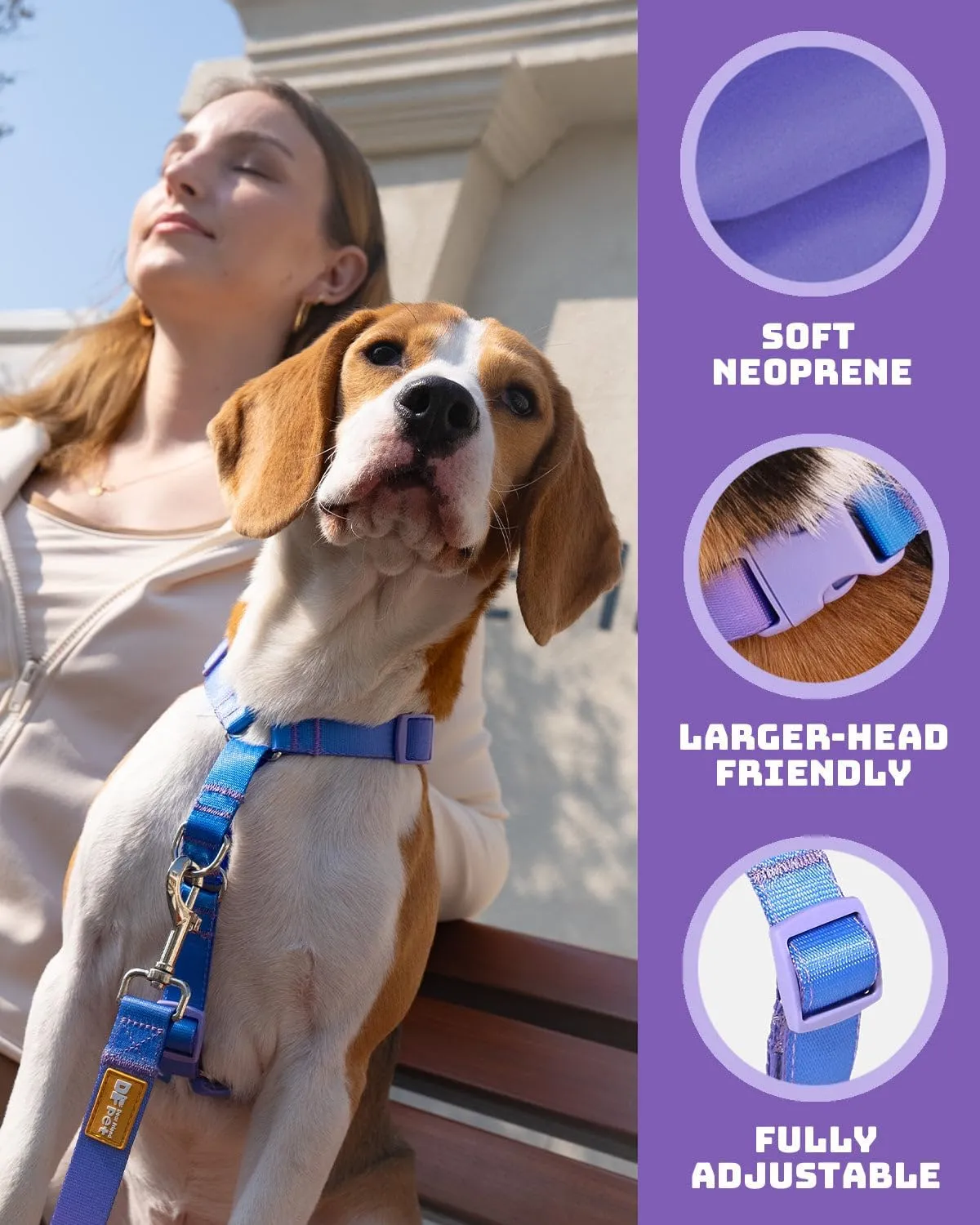 DF Freedom No Pull Martingale Dog Harness and Double-Ended Leash Set, Safety Control to Stop Pulling, Reflective & 5-Point Adjustable, Support Padded Handle, Rainbow Pro, 3/4", Chest 20" - 26.8"