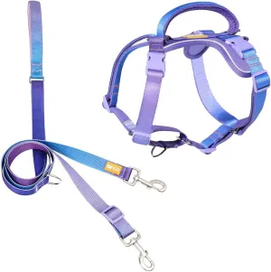 DF Freedom No Pull Martingale Dog Harness and Double-Ended Leash Set, Safety Control to Stop Pulling, Reflective & 5-Point Adjustable, Support Padded Handle, Rainbow Pro, 3/4", Chest 20" - 26.8"