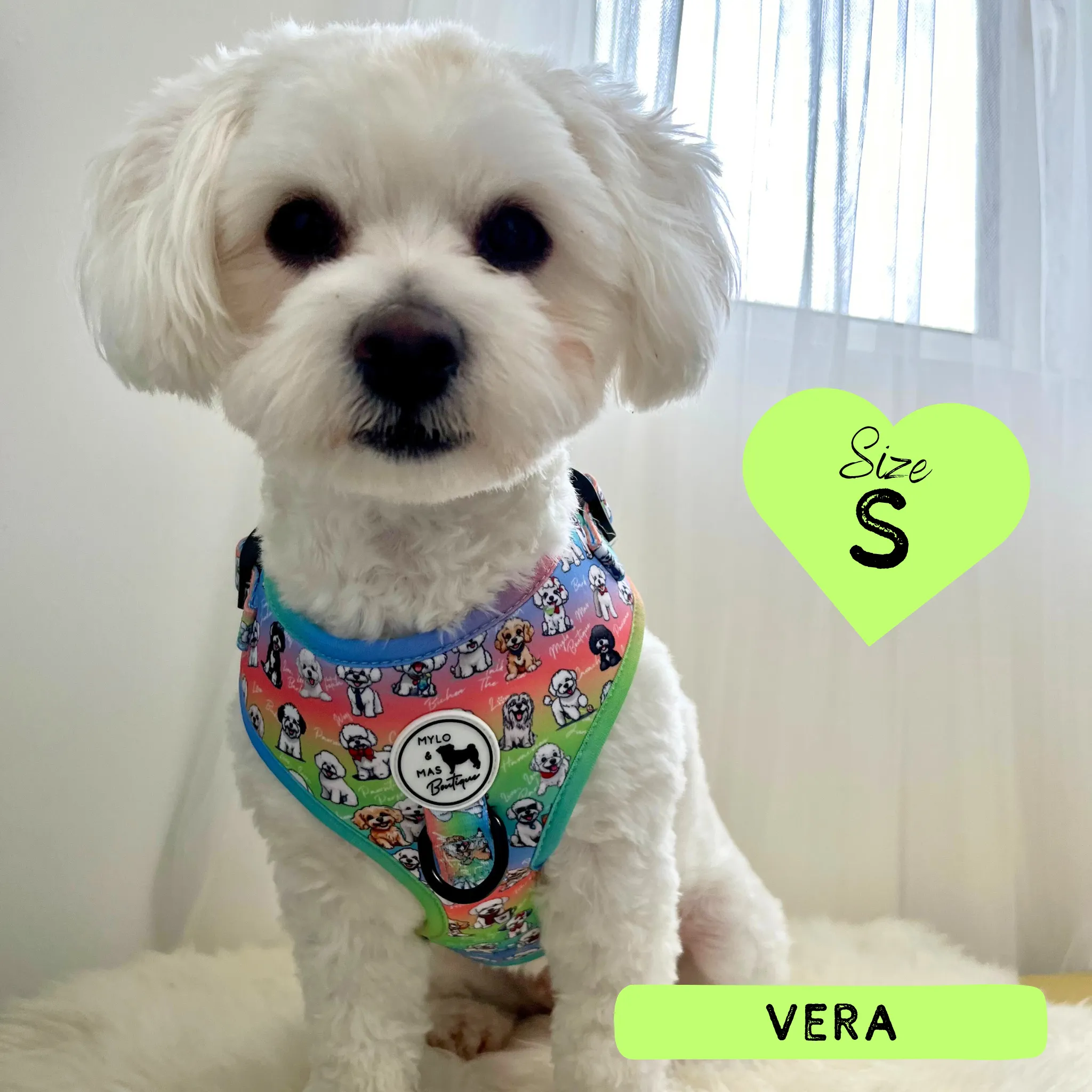 Dog Adjustable Harness - Oh My Bichon!