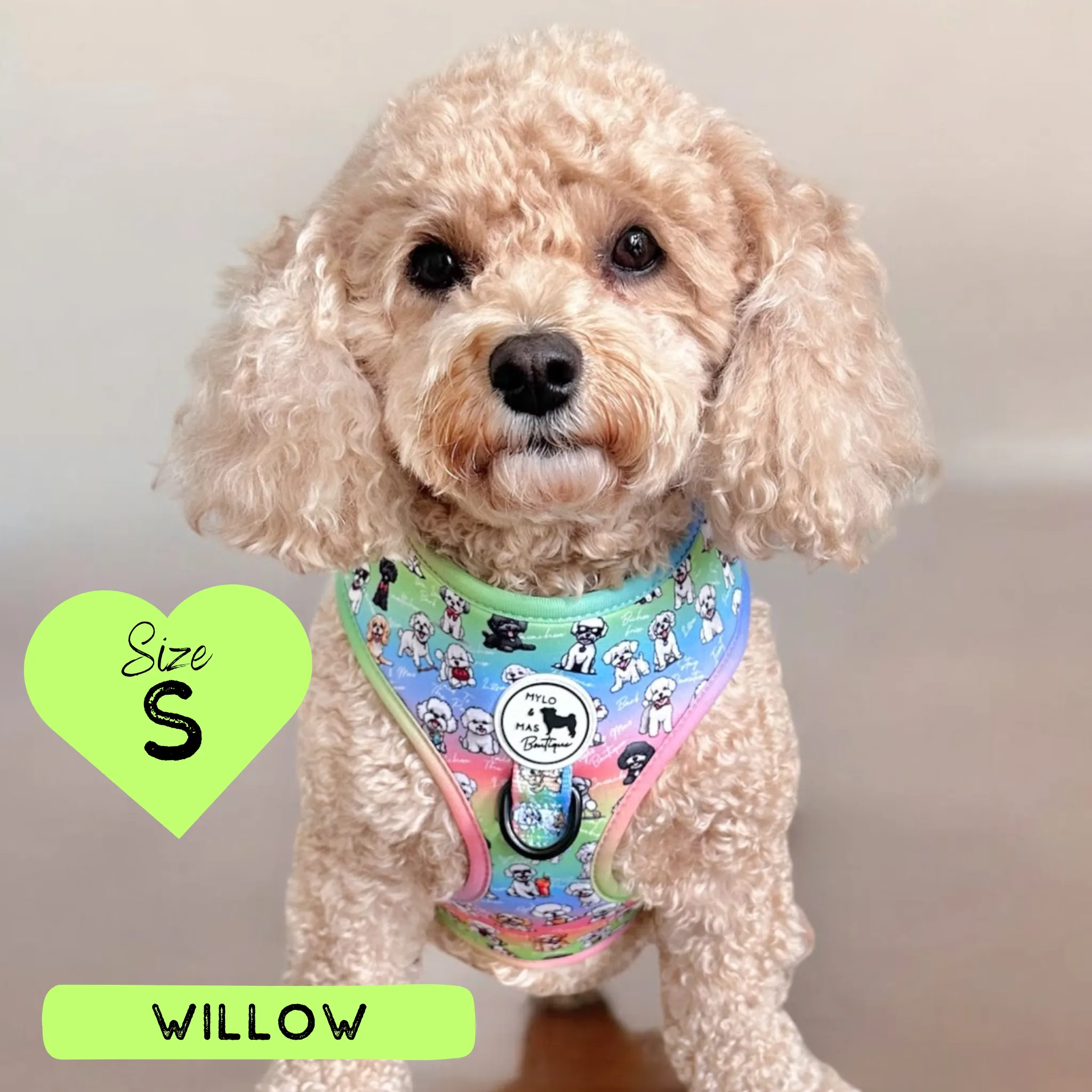 Dog Adjustable Harness - Oh My Bichon!