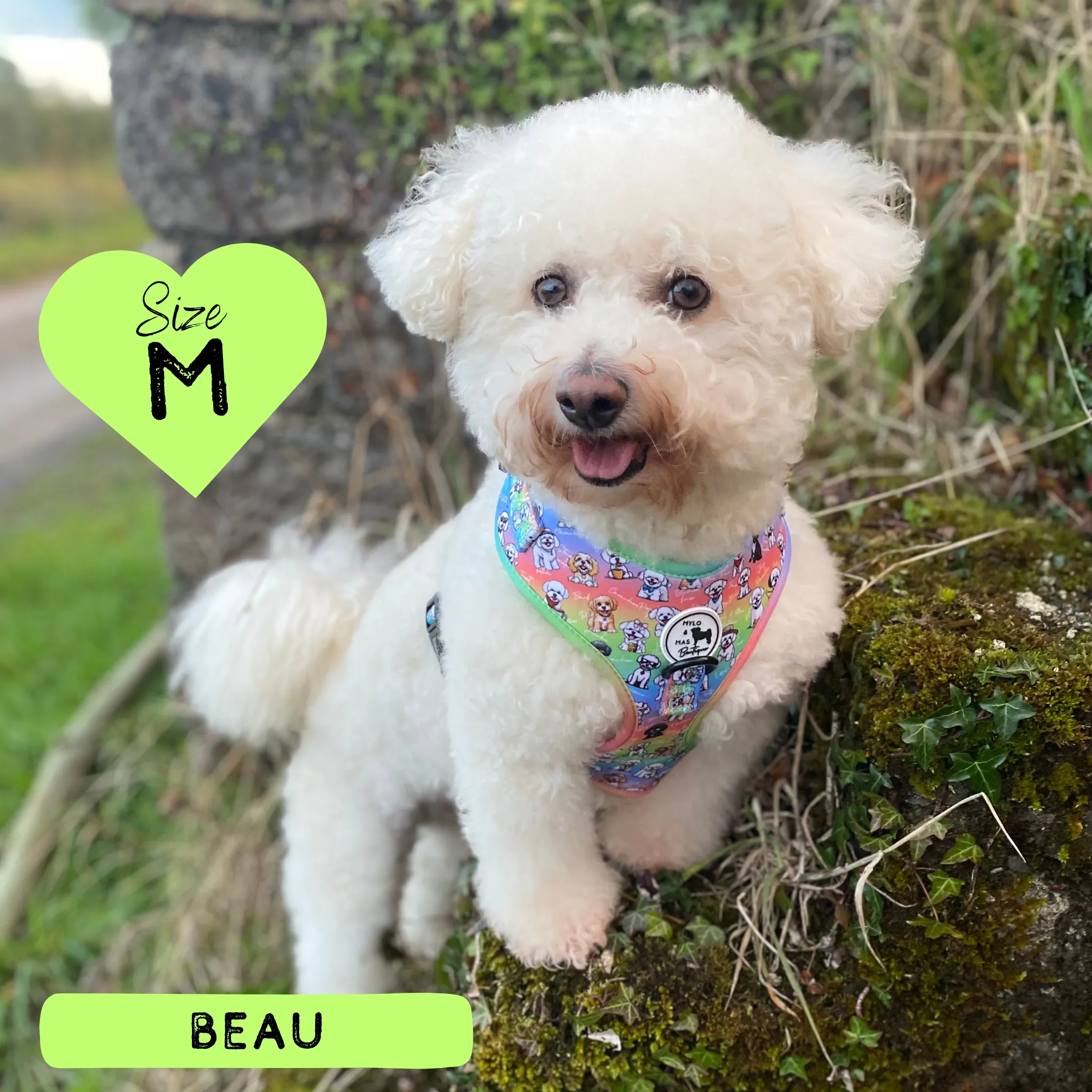 Dog Adjustable Harness - Oh My Bichon!