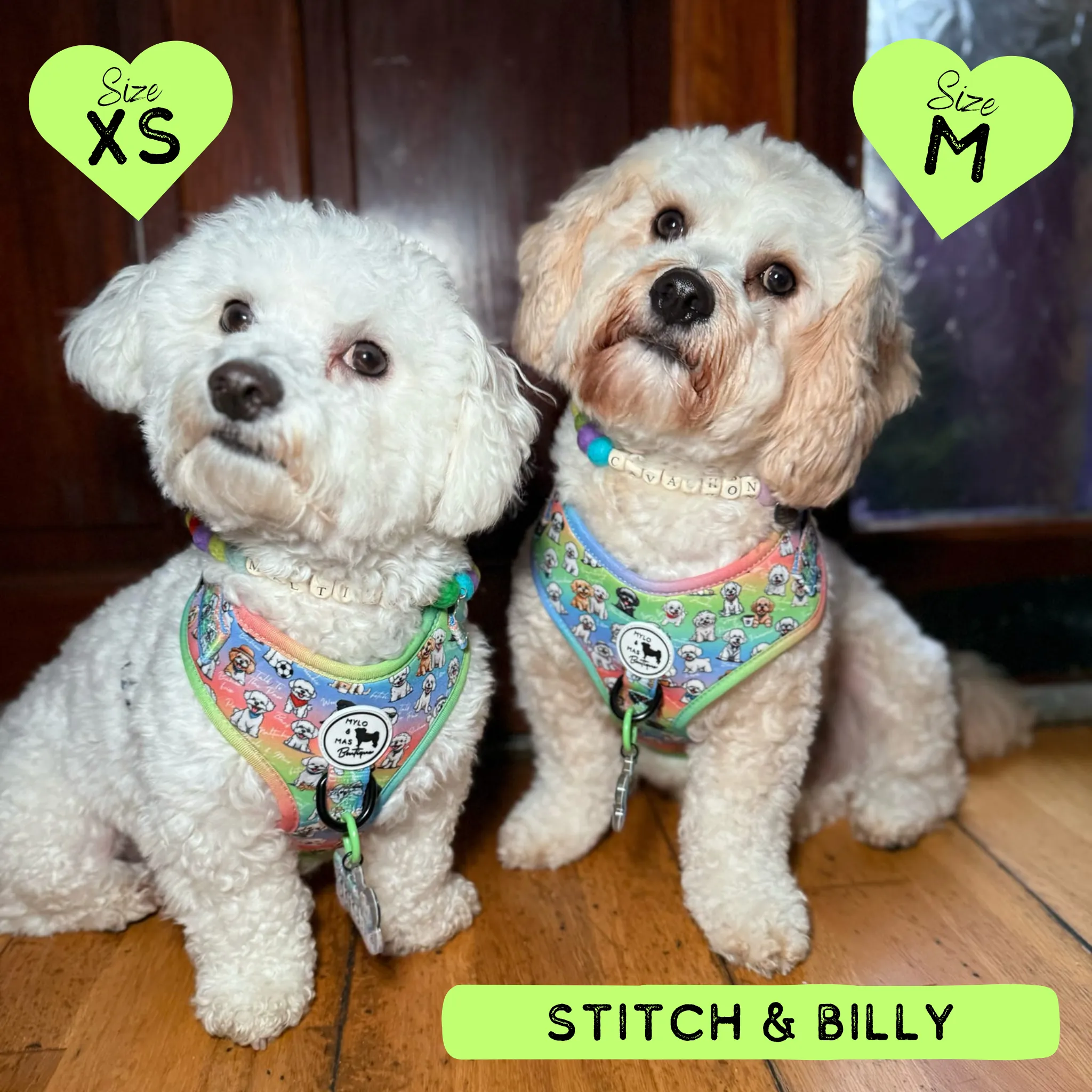 Dog Adjustable Harness - Oh My Bichon!