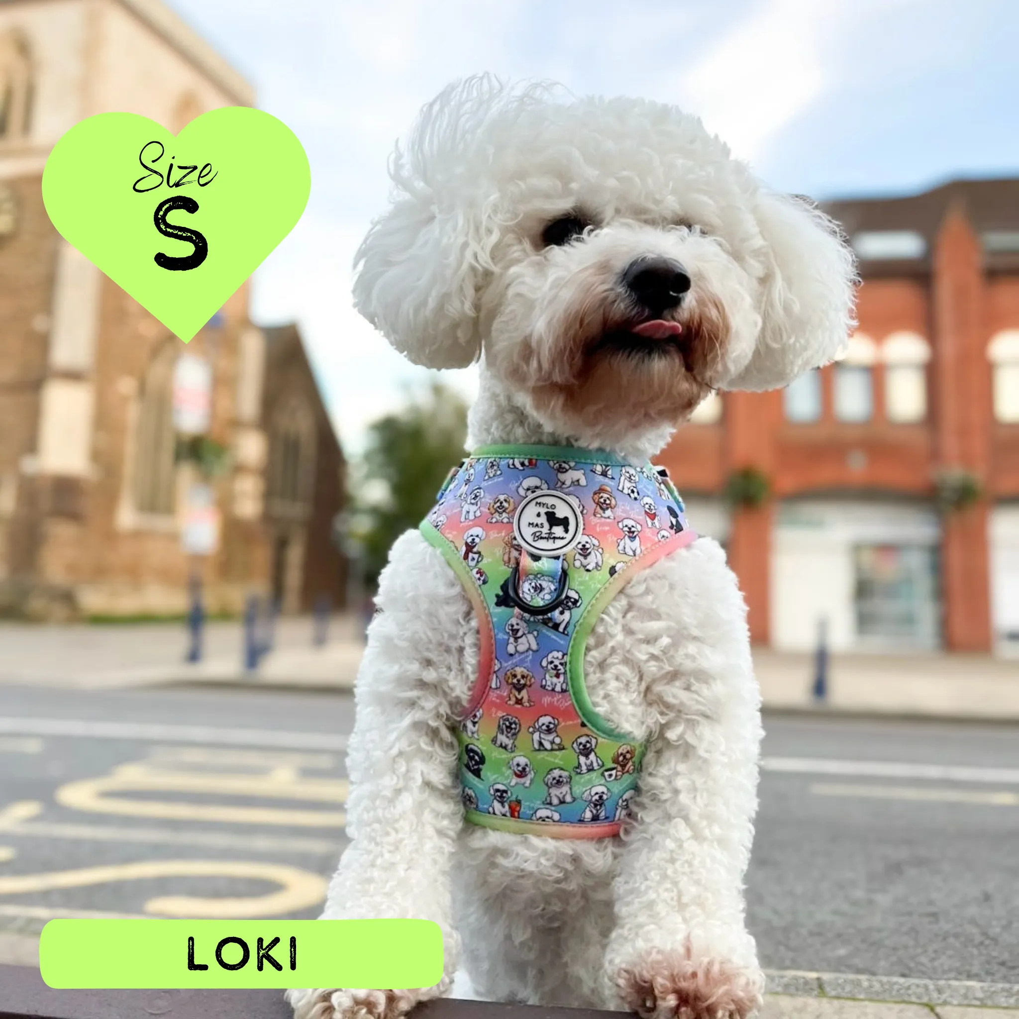 Dog Adjustable Harness - Oh My Bichon!