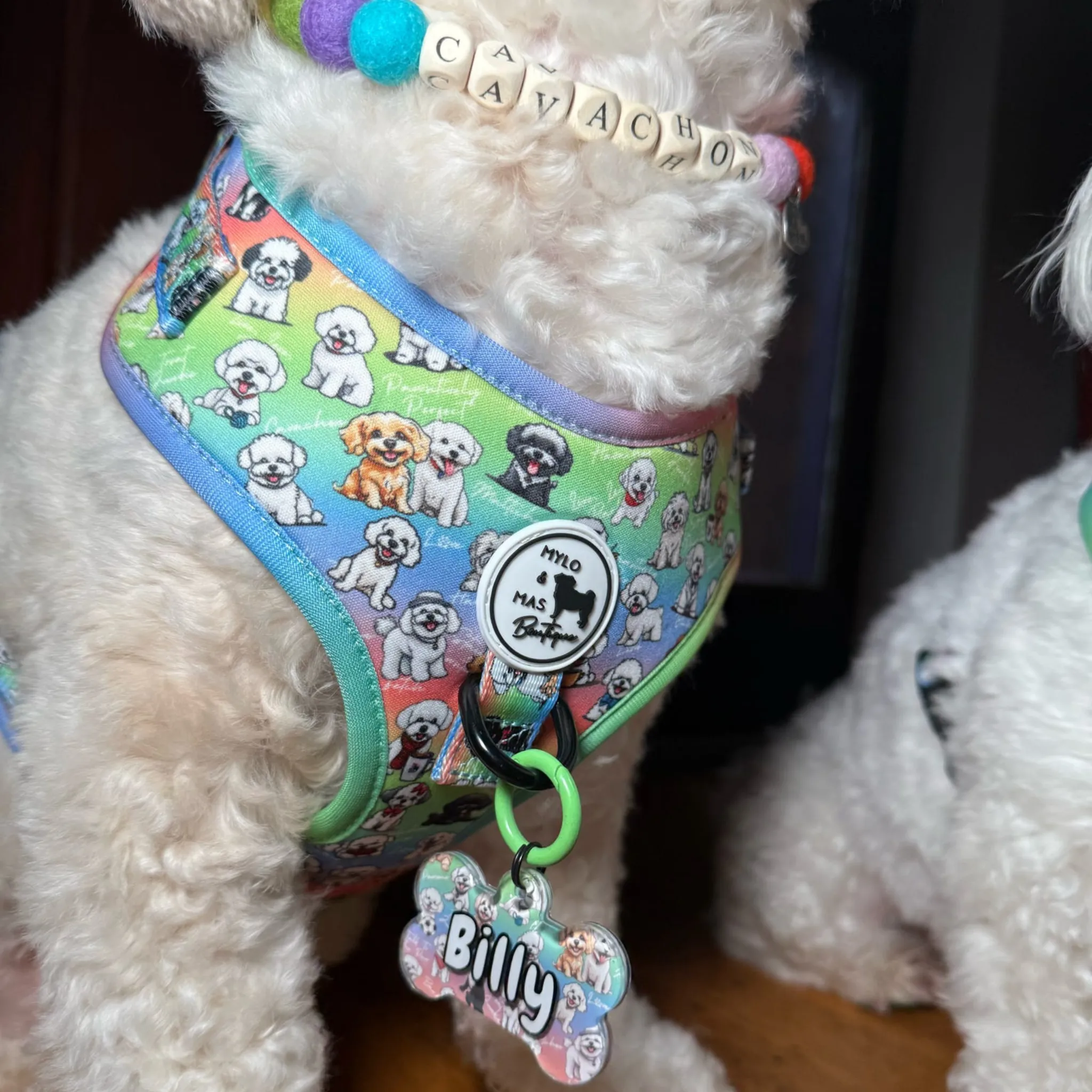 Dog Adjustable Harness - Oh My Bichon!
