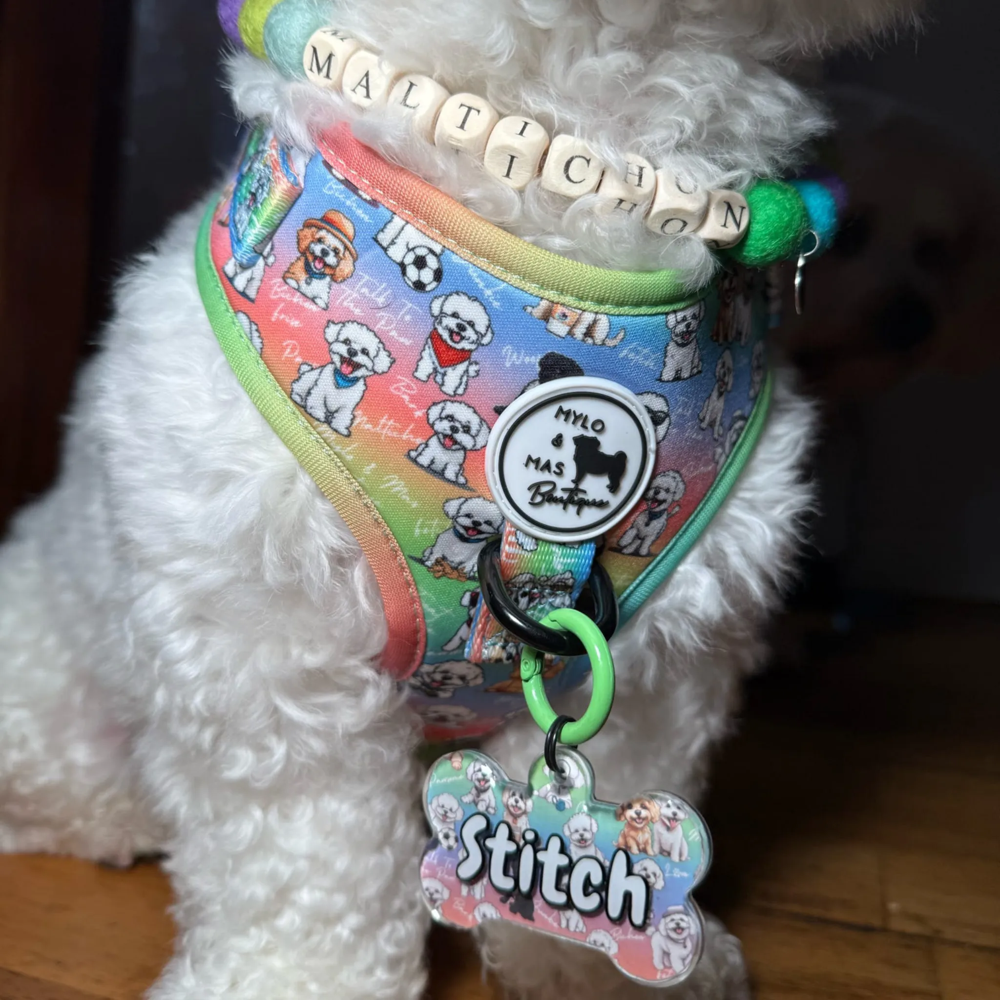 Dog Adjustable Harness - Oh My Bichon!