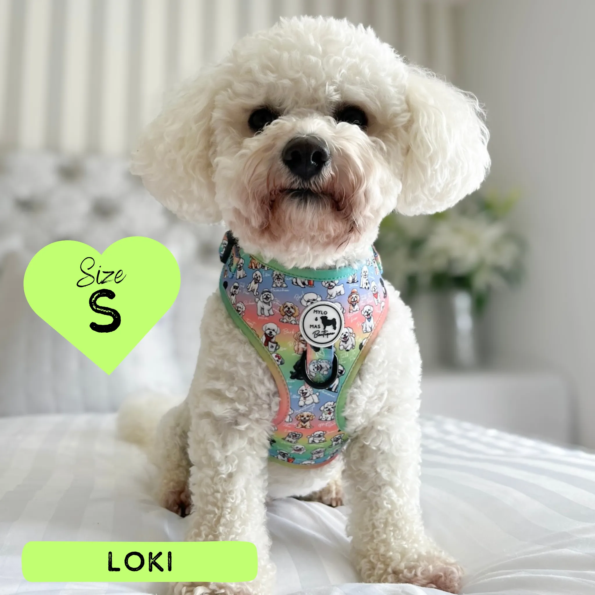 Dog Adjustable Harness - Oh My Bichon!