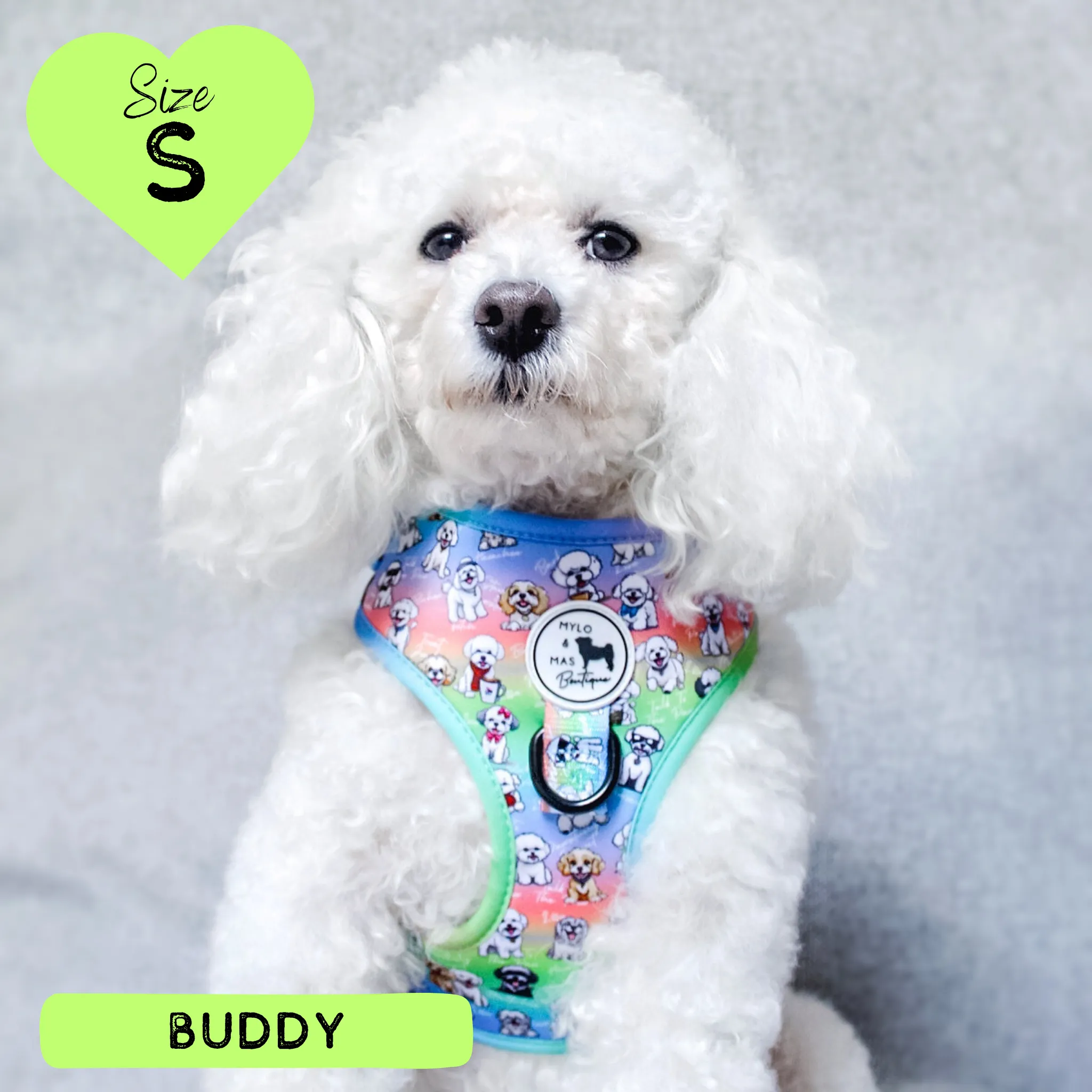 Dog Adjustable Harness - Oh My Bichon!