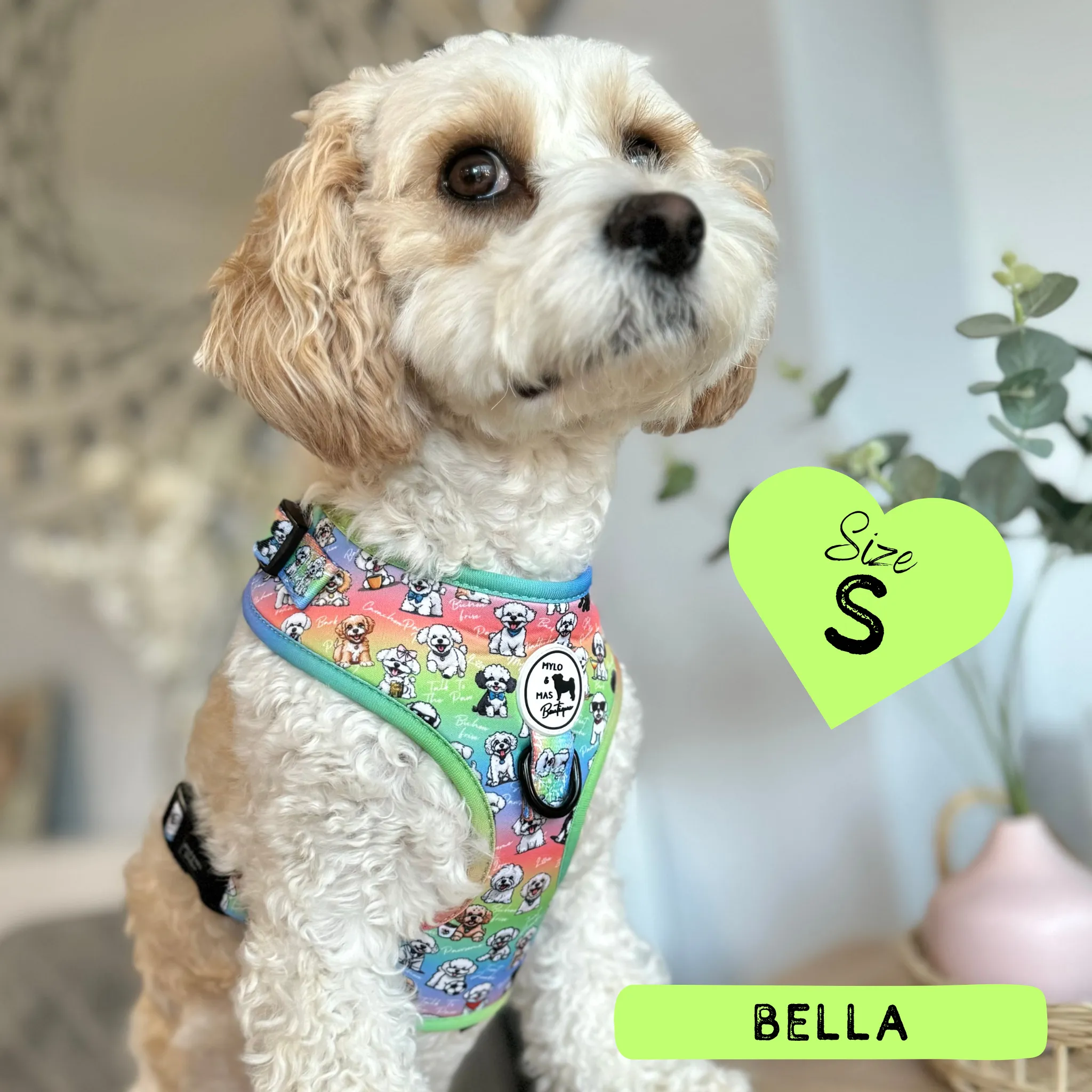 Dog Adjustable Harness - Oh My Bichon!