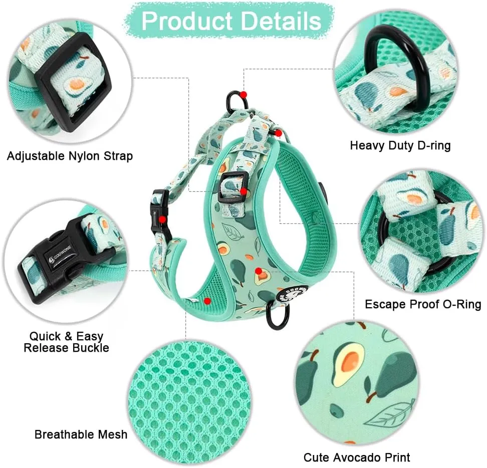 Dog Cat Harness and Leash Set, Puppia Soft Mesh Padded and Adjustable Puppy Vest Cute Dog Clothes Escape Proof Easy Walk Dog Accessories