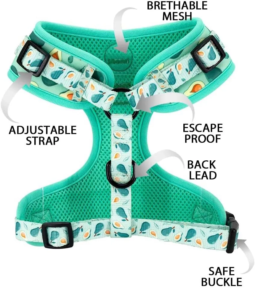 Dog Cat Harness and Leash Set, Puppia Soft Mesh Padded and Adjustable Puppy Vest Cute Dog Clothes Escape Proof Easy Walk Dog Accessories