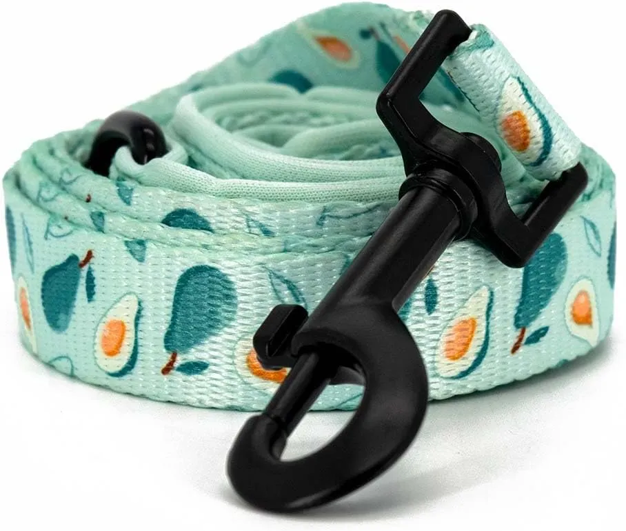 Dog Cat Harness and Leash Set, Puppia Soft Mesh Padded and Adjustable Puppy Vest Cute Dog Clothes Escape Proof Easy Walk Dog Accessories