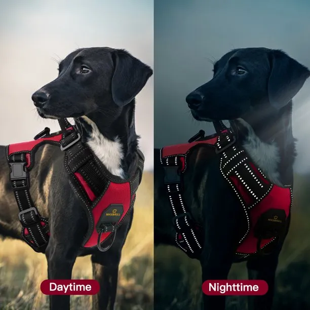 Dog Chest Harness Adjustable for Small Dog Red in Extra Large