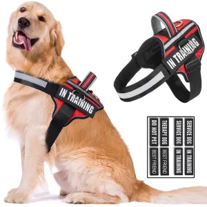 Dog Harness with Patches