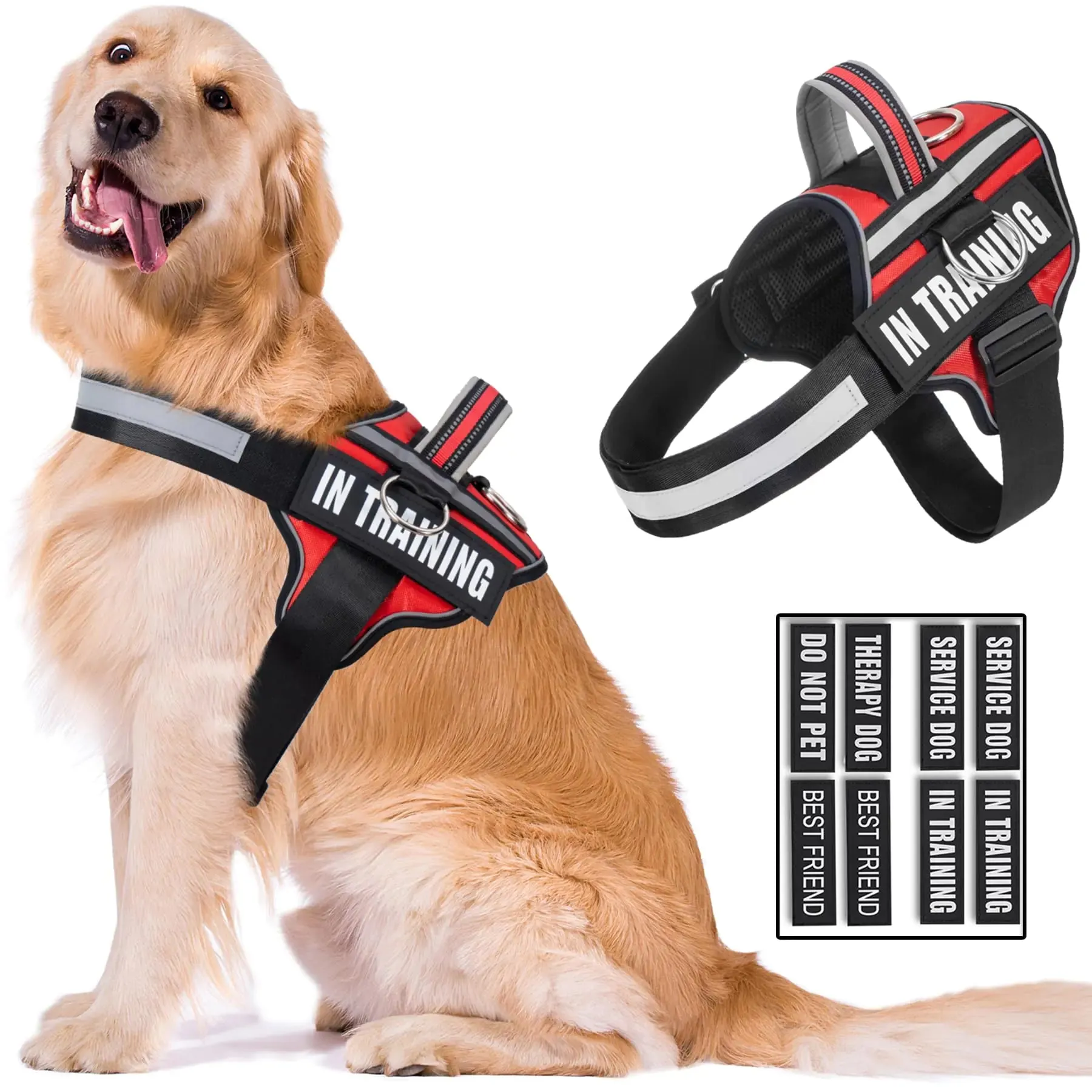 Dog Harness with Patches