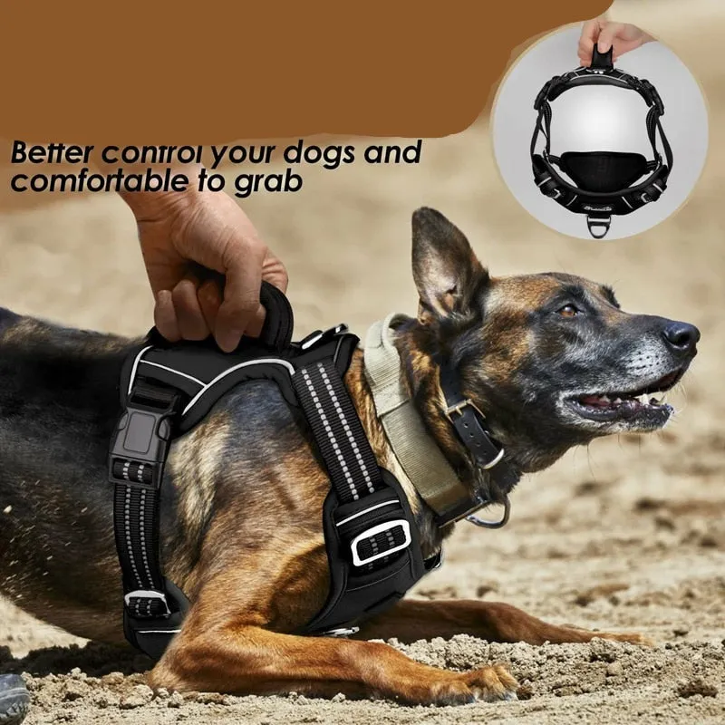 Dog Harness