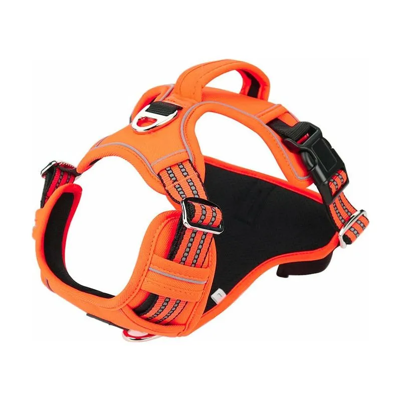 Dog Harness