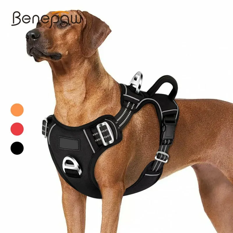 Dog Harness