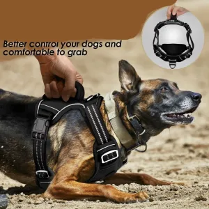 Dog Harness