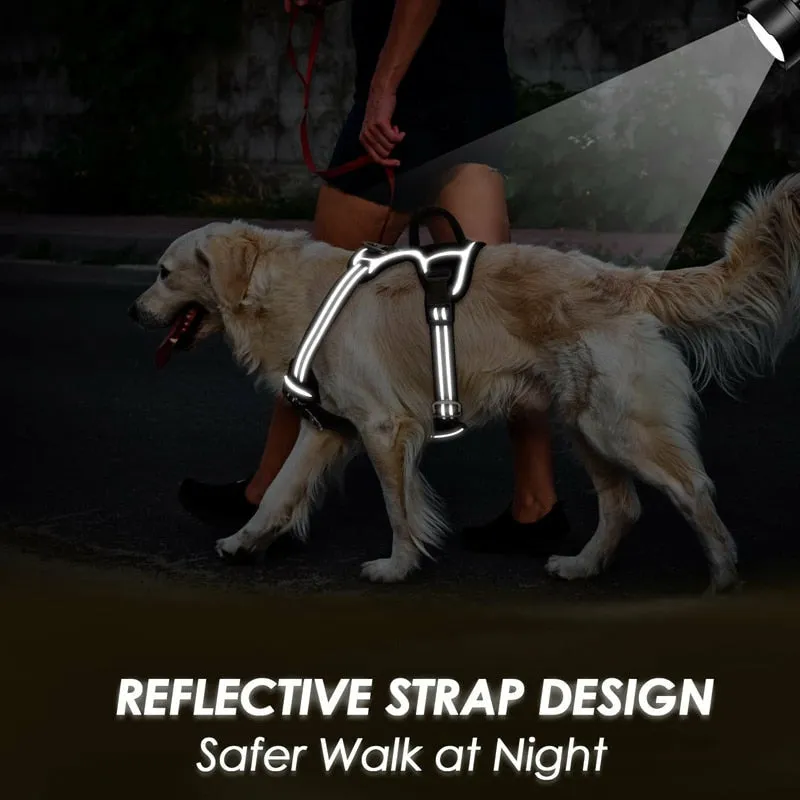 Dog Harness