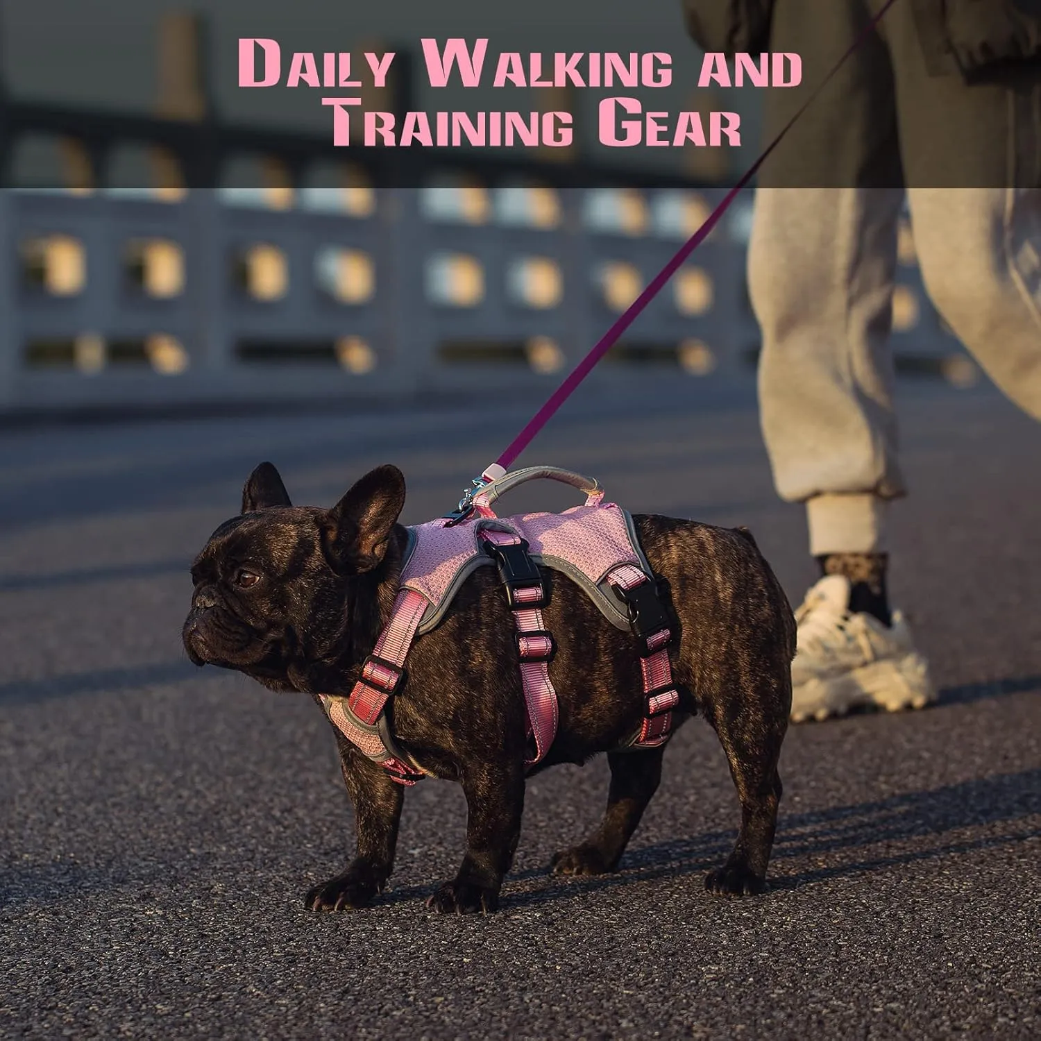 Dog Harnesses Escape Proof, Escape Artist Harness, Fully Reflective Harness with Padded Handle, Breathable,Durable, Adjustable Vest for Large Dogs Walking, Training, and Running Gear Pink (Large)