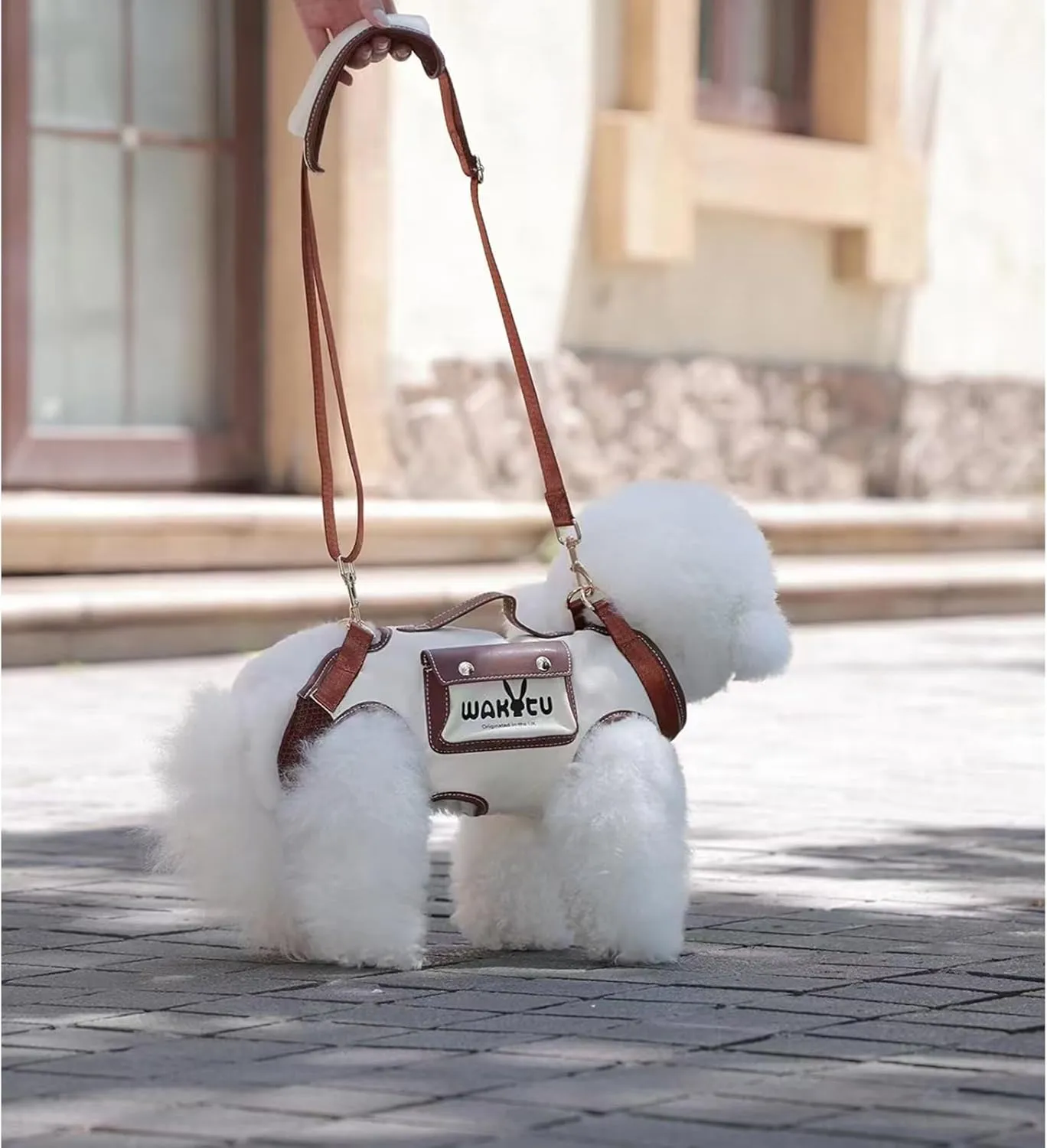 Dog Lift Harness Dog Carrier VES Harness Adjustable Leash with Small Puppy Treat Bag,Fits Most Cars,S，4-8 LBS