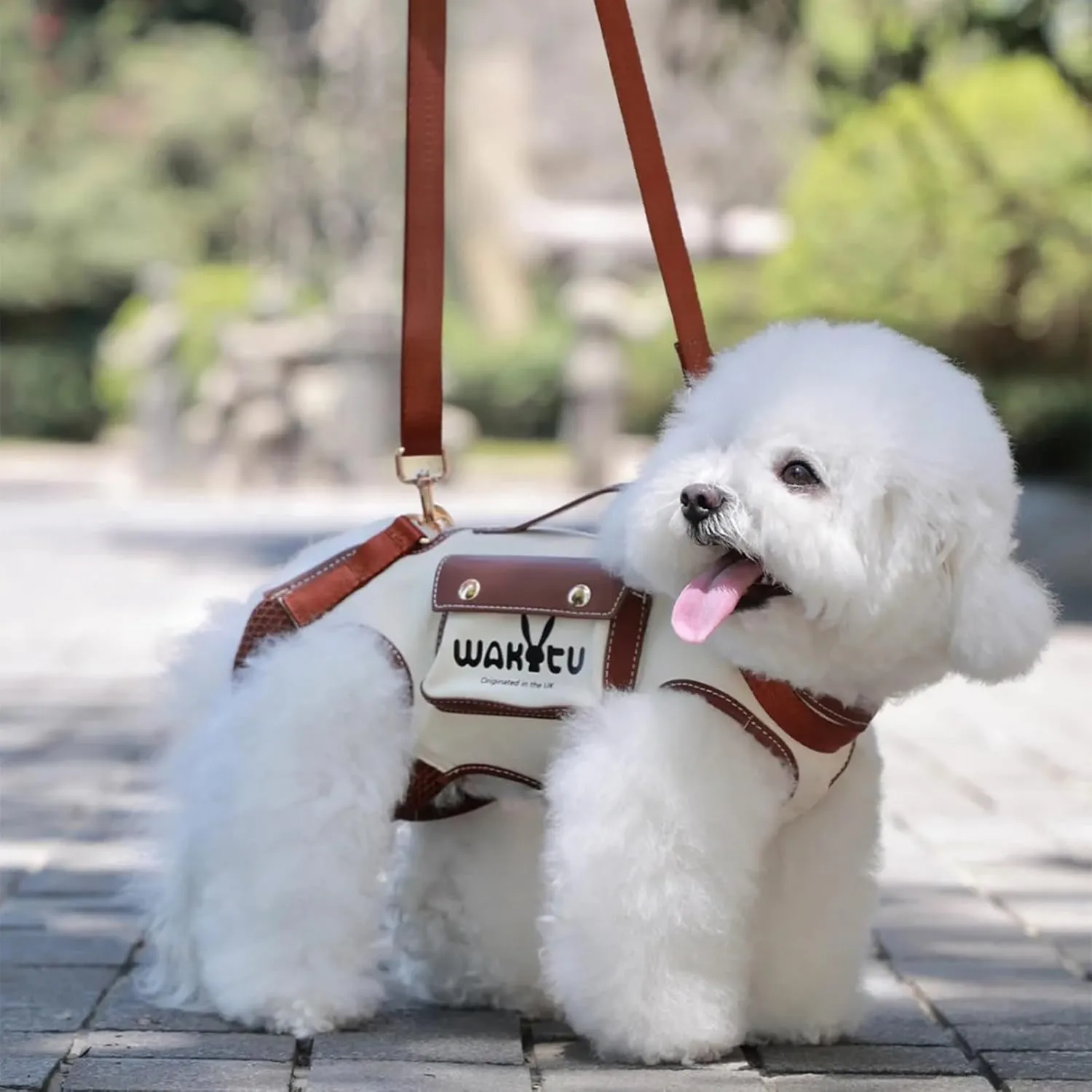 Dog Lift Harness Dog Carrier VES Harness Adjustable Leash with Small Puppy Treat Bag,Fits Most Cars,S，4-8 LBS
