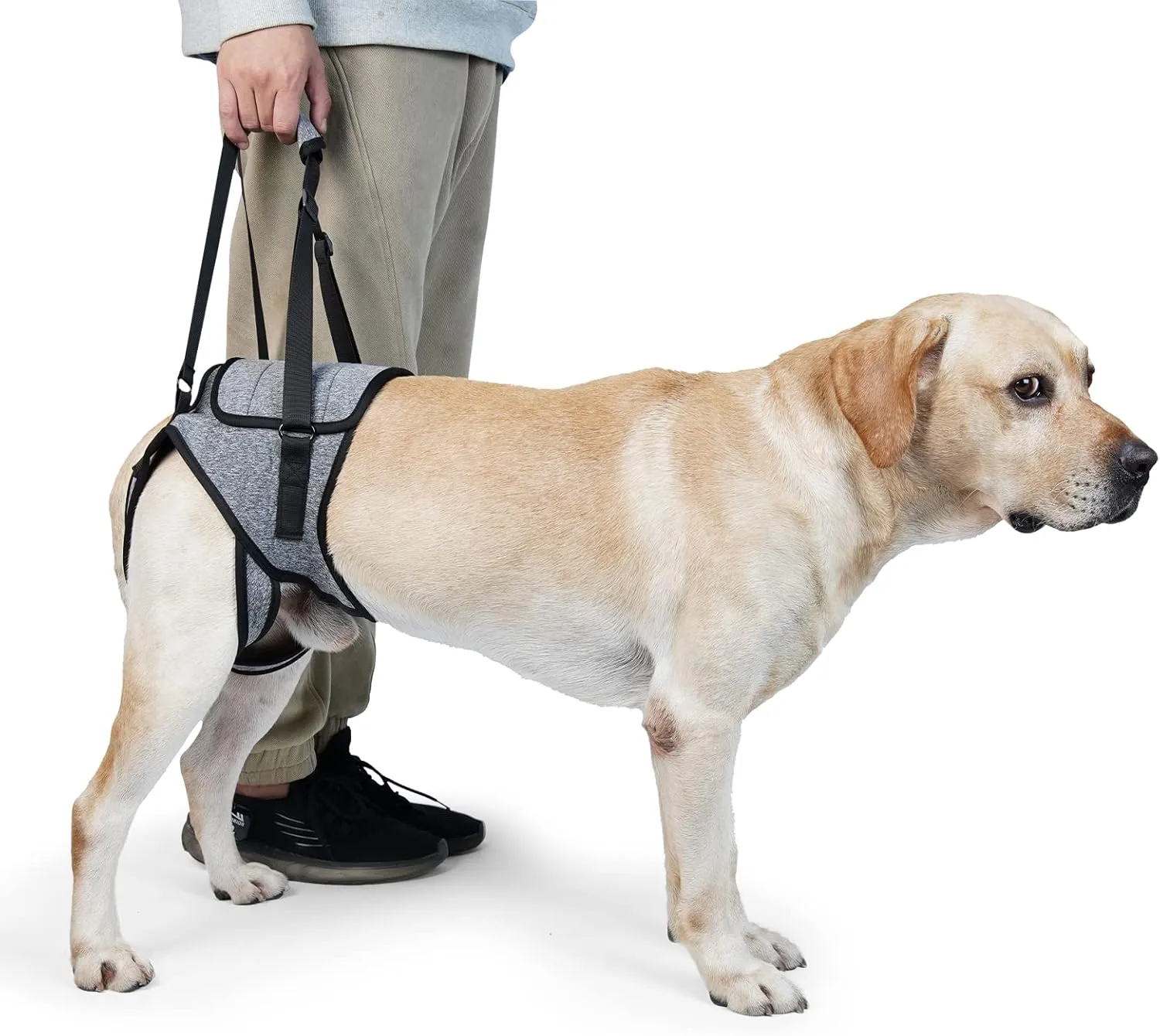 Dog Lift Harness, TORJOY Dog Sling for Small Medium Large Dogs, Dog Support Harness for Back Legs, Adjustable Soft Padded Pet Harness for Olderly, Injured, Arthritic, Disabled Dogs, Grey, M