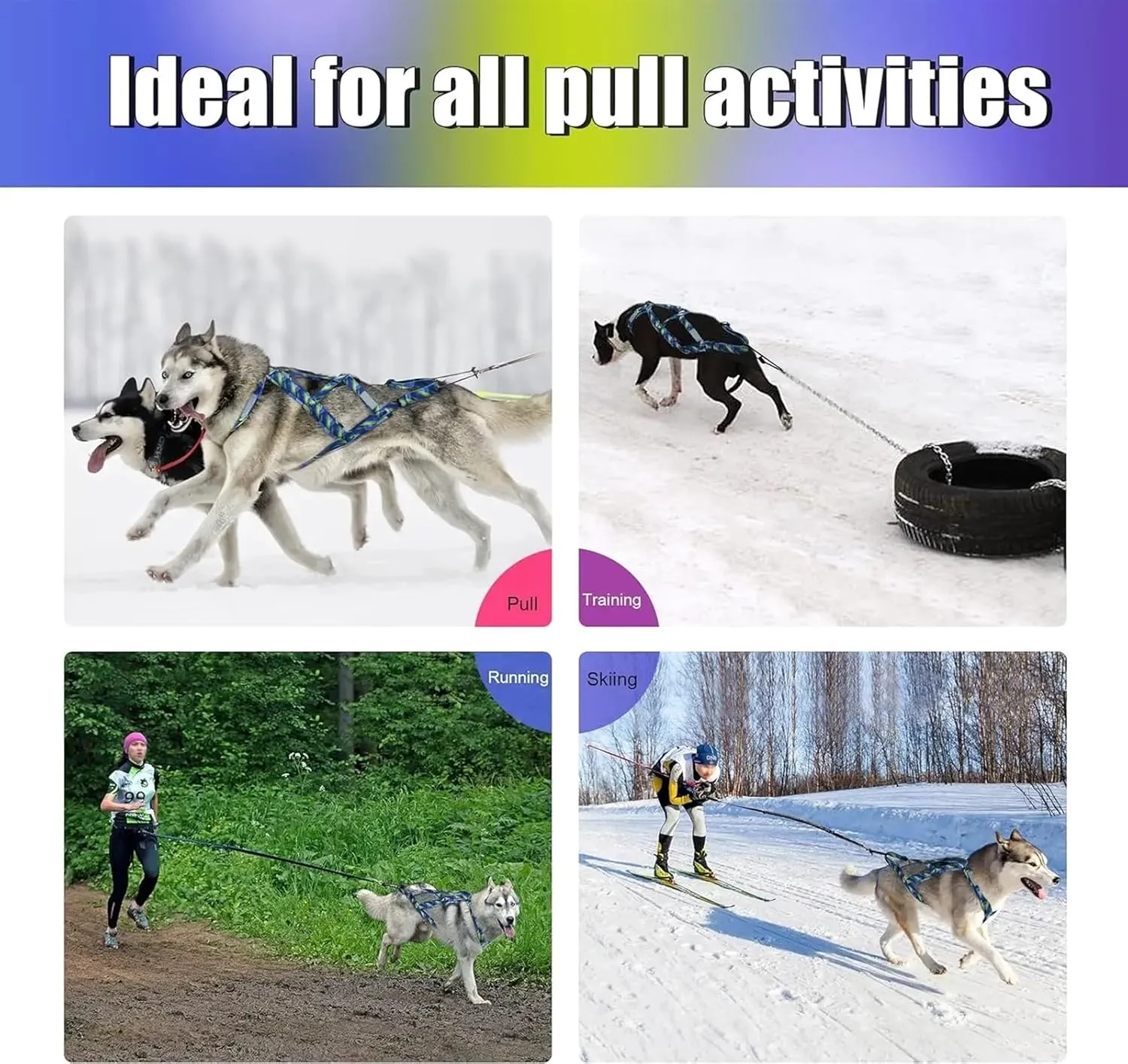 Dog Sledding Harness,Dog Weight Pulling Harness,Speed Training,Work Out Dog Sled Harness for Medium,Large Dogs(Blue,L)