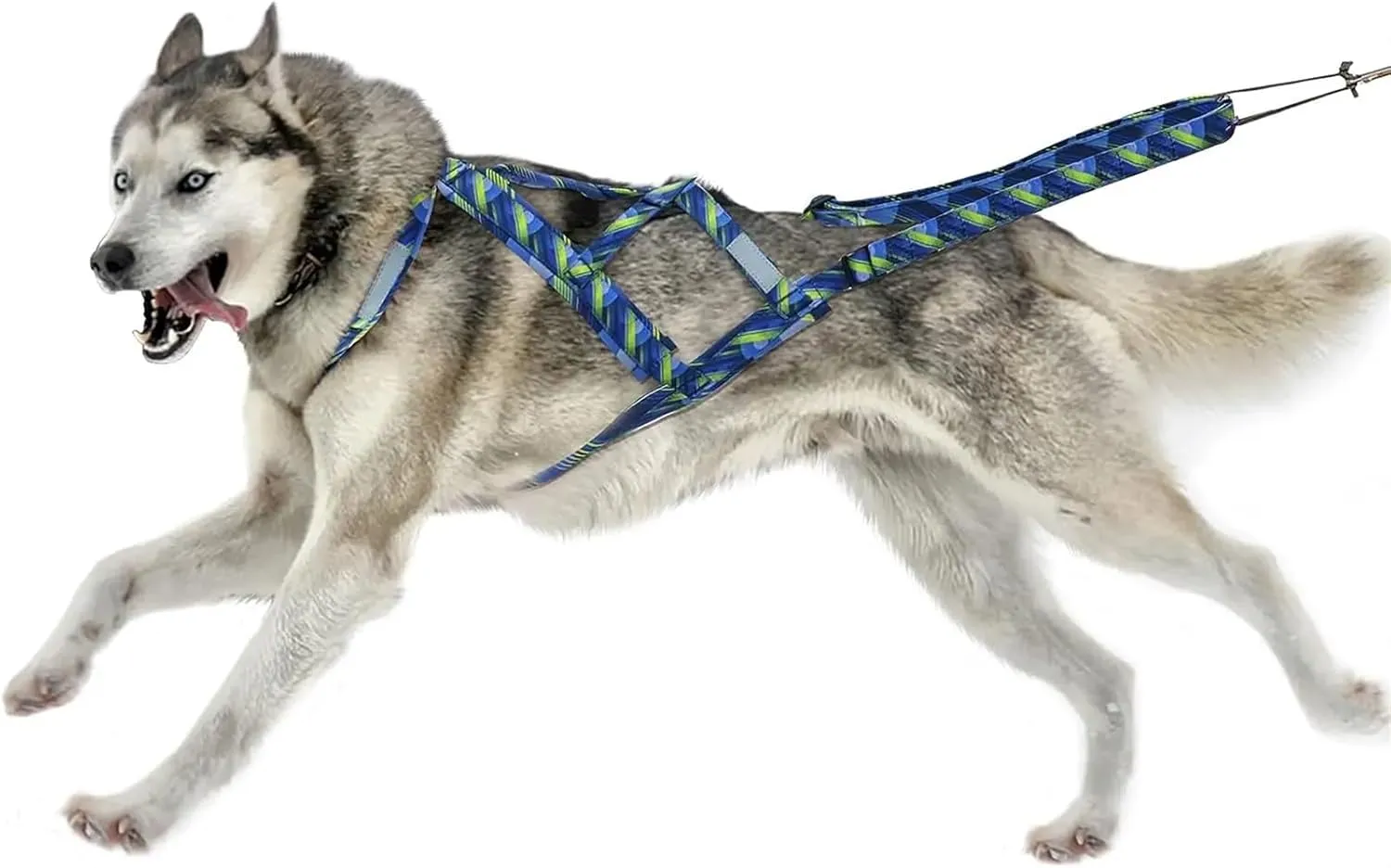 Dog Sledding Harness,Dog Weight Pulling Harness,Speed Training,Work Out Dog Sled Harness for Medium,Large Dogs(Blue,L)