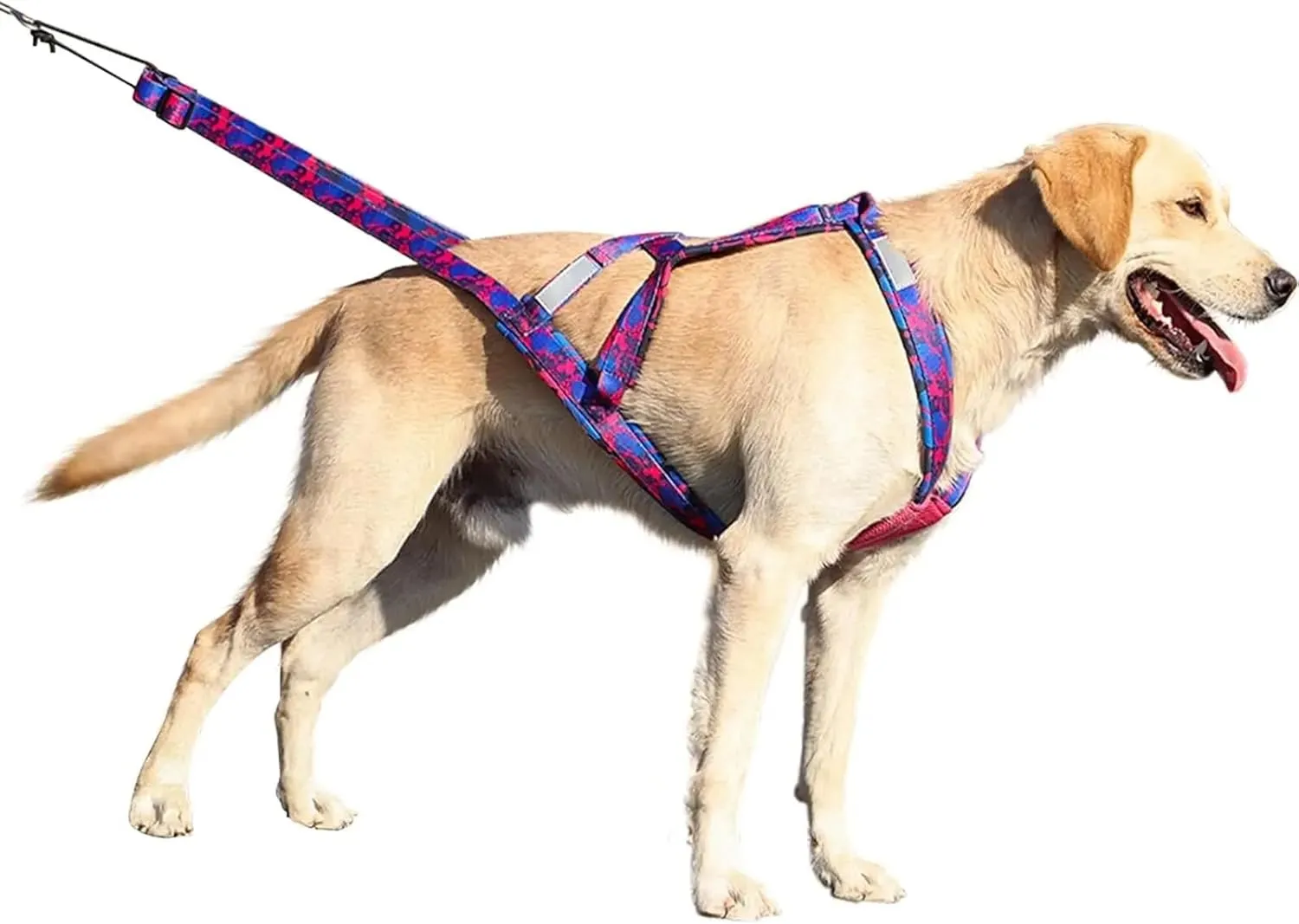Dog Sledding Harness,Dog Weight Pulling Harness,Speed Training,Work Out, Sled Harness for Medium and Large Dogs(Blue,XL)