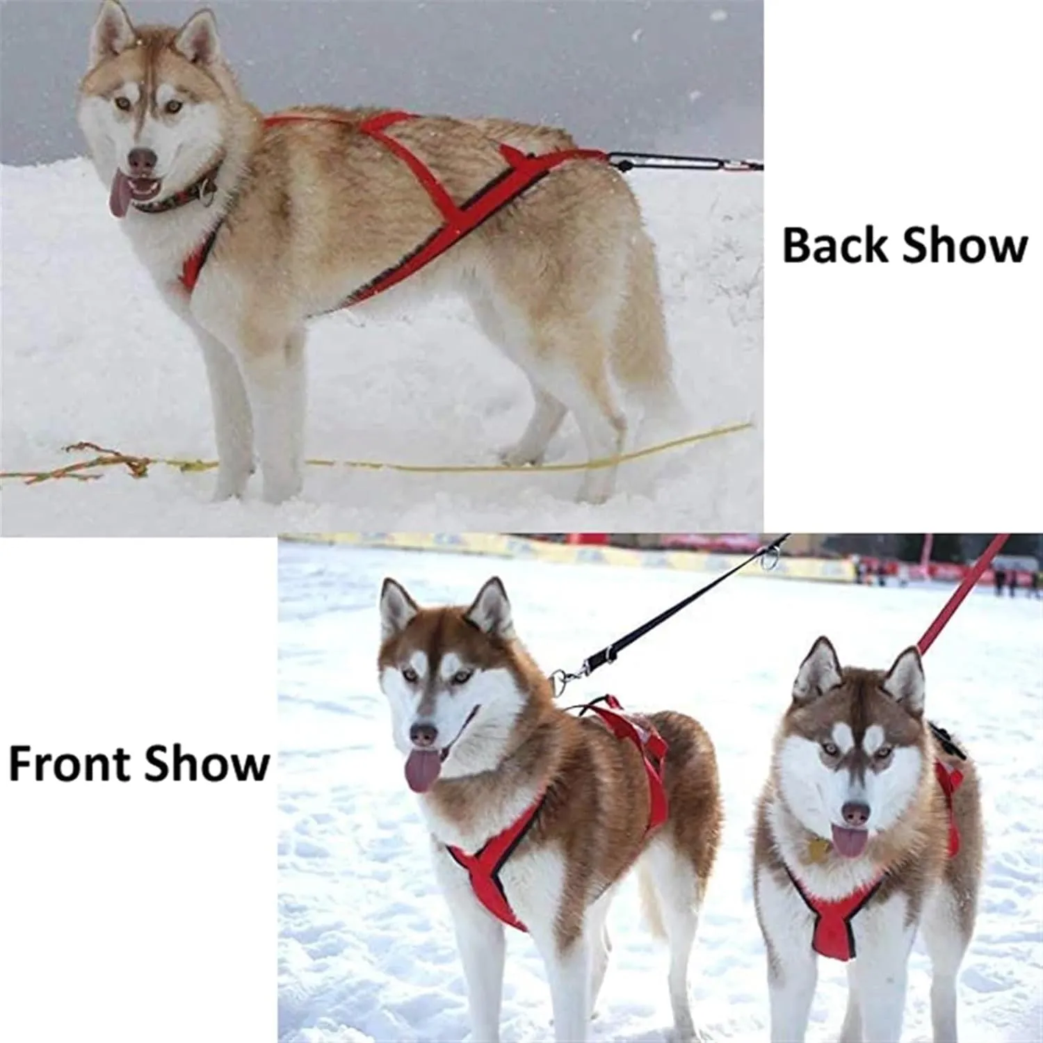 Dog Sledding Harness,Soft Padded Dog Pulling Sled Pro Harness for Medium Large Dogs, Speed Training, Dog(Red,XL)
