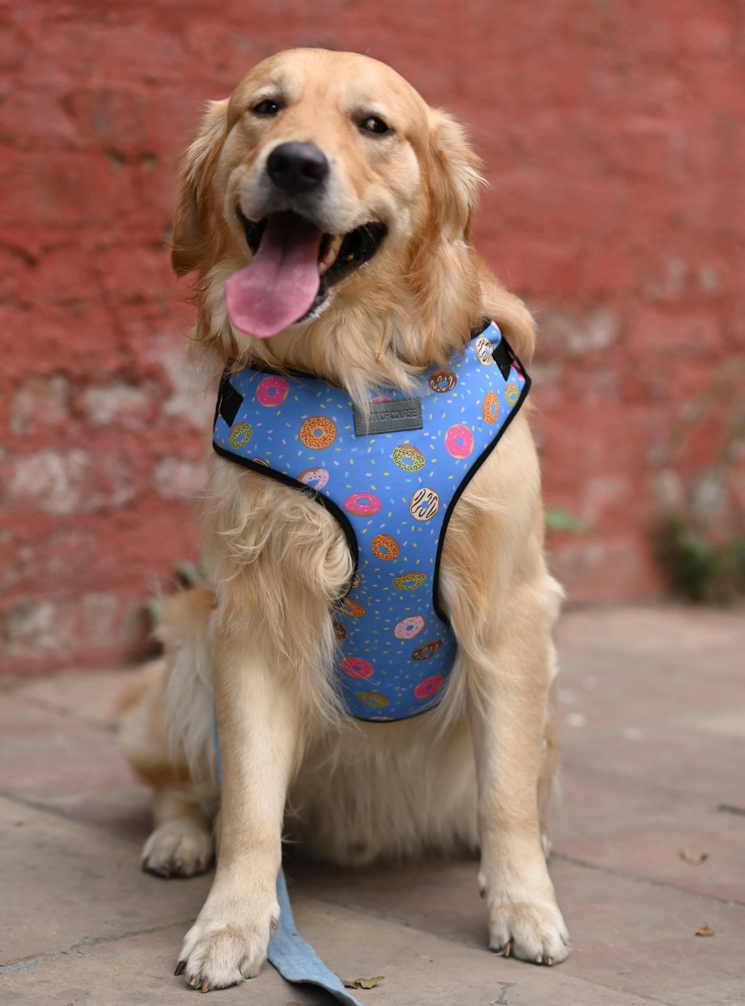 Donut Vest Harness