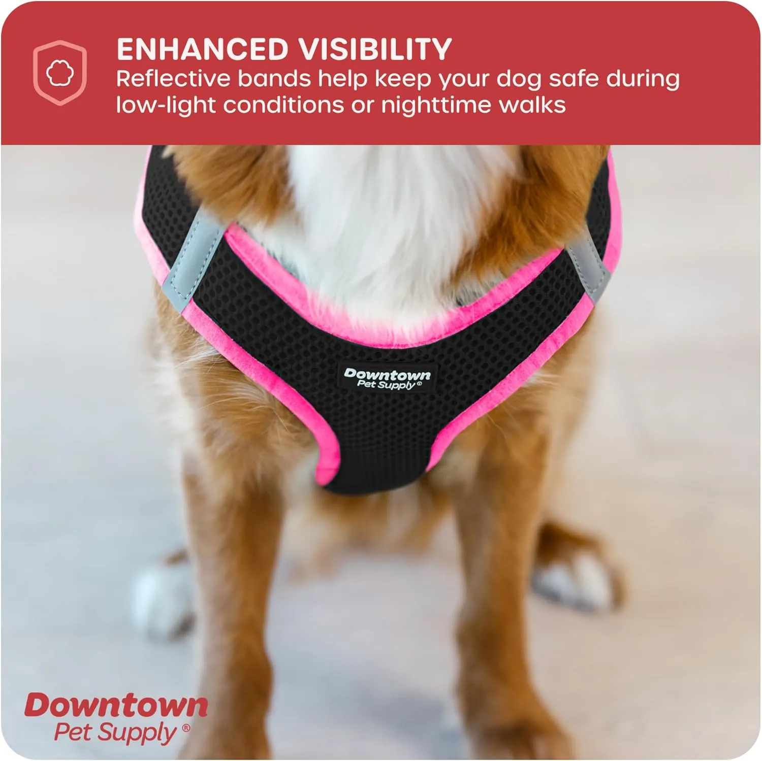 Downtown Pet Supply Step in Dog Harness for Small Dogs No Pull, Large, Black w/Pink Trim - Adjustable Harness with Padded Mesh Fabric and Reflective Trim - Buckle Strap Harness for Dogs