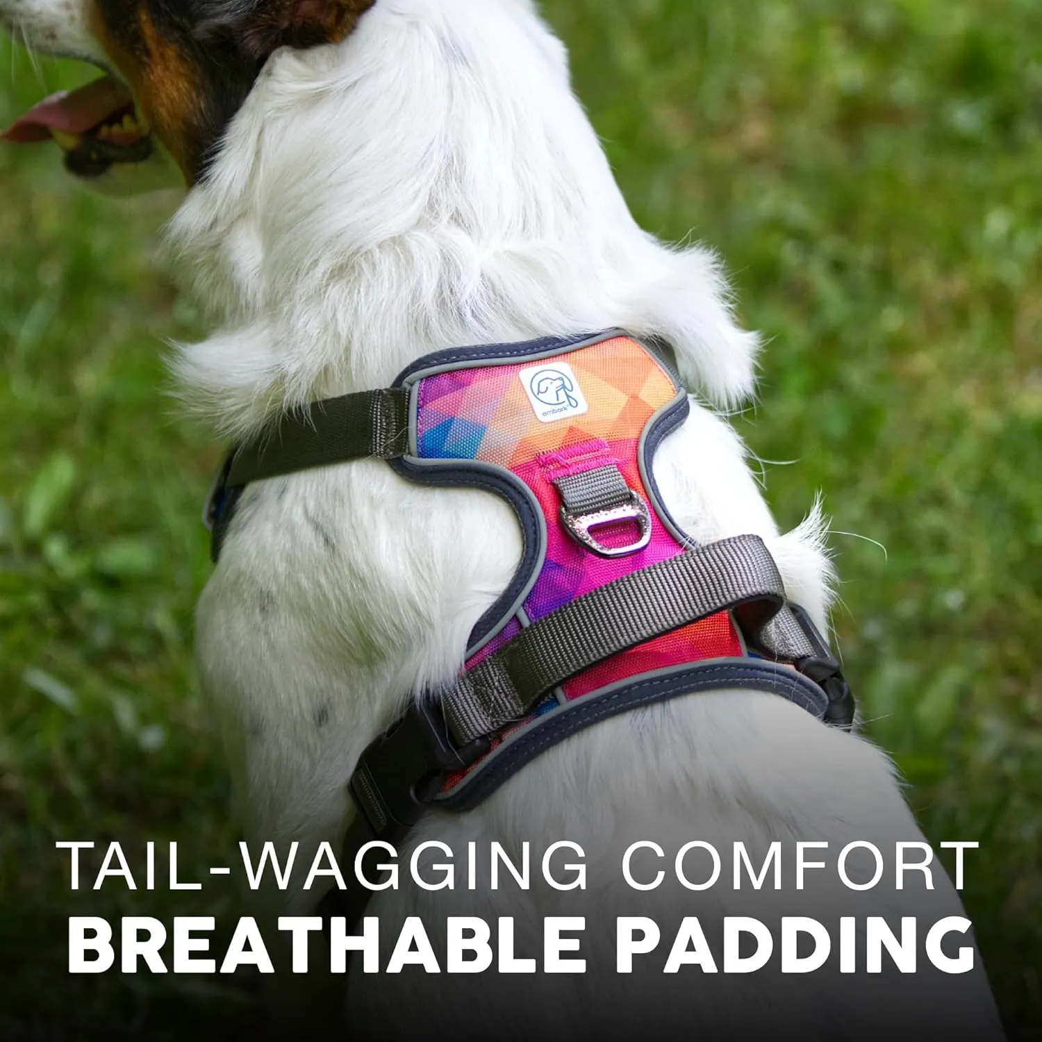 Embark Adventure Dog Harness, Reflective Trim No Pull Harness for Medium Sized Dog - Military Grade Nylon, Front Clip with Gel Lined Handle. Soft & Padded Puppy