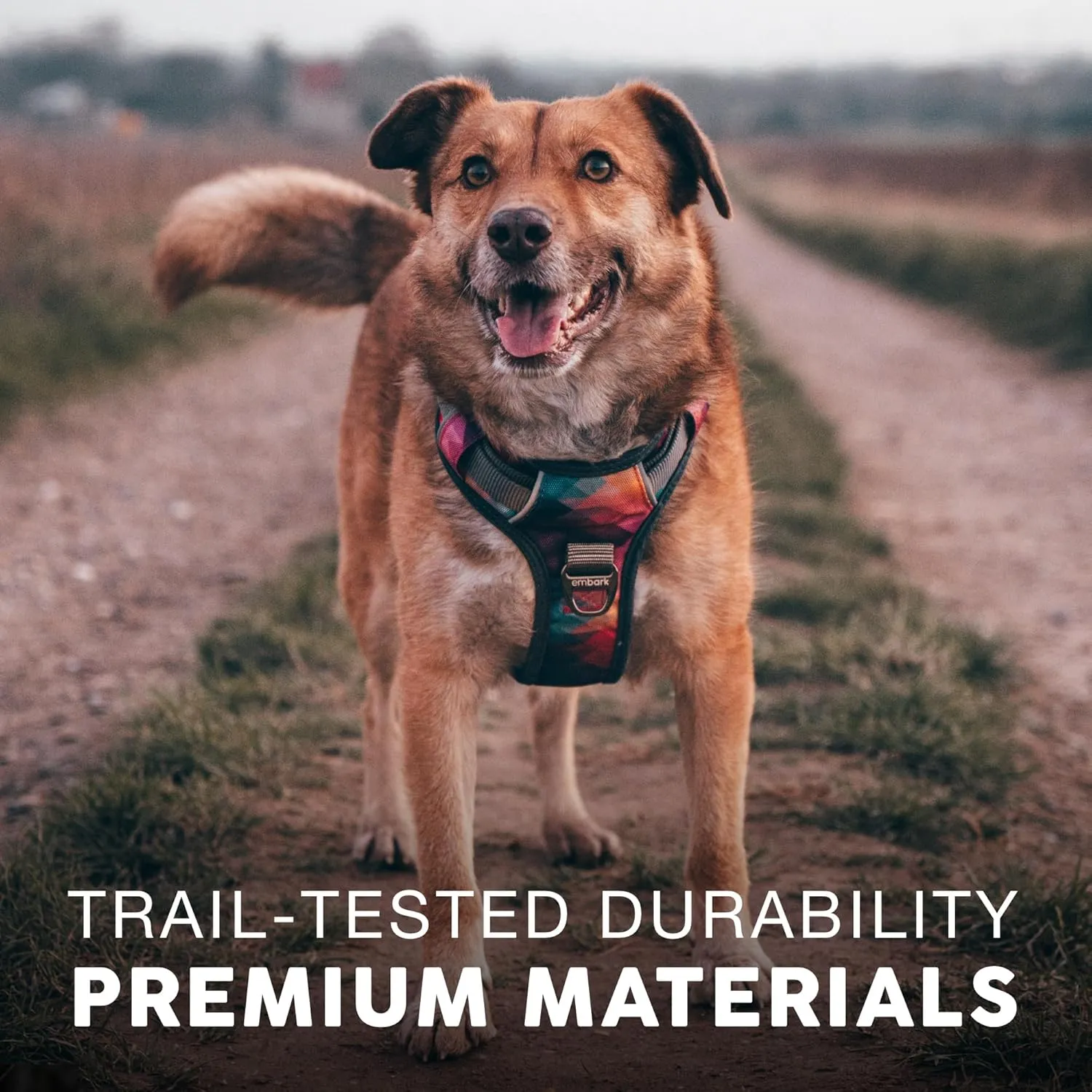 Embark Adventure Dog Harness, Reflective Trim No Pull Harness for Medium Sized Dog - Military Grade Nylon, Front Clip with Gel Lined Handle. Soft & Padded Puppy