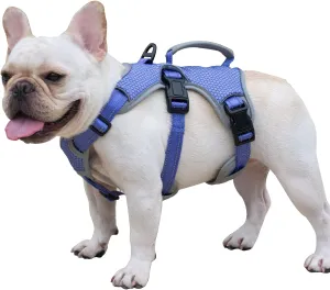 Escape Proof Dog Harness, Escape Artist Harness, Reflective Dog Harness with Handle, Durable,Adjustable Vest for Small Medium Large Dogs Walking, Training, and Running Gear(Technicolor Blue,M)
