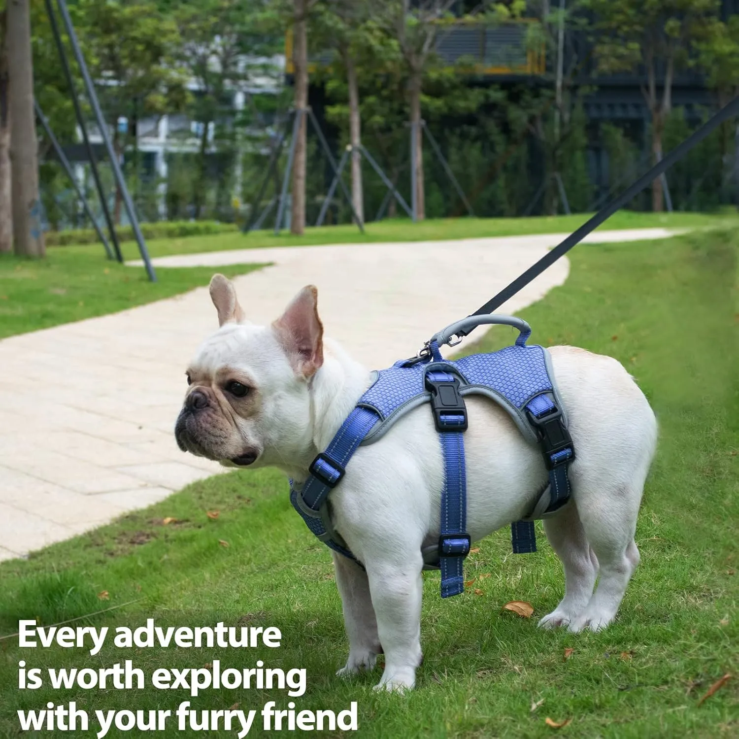 Escape Proof Dog Harness, Escape Artist Harness, Reflective Dog Harness with Handle, Durable,Adjustable Vest for Small Medium Large Dogs Walking, Training, and Running Gear(Technicolor Blue,M)