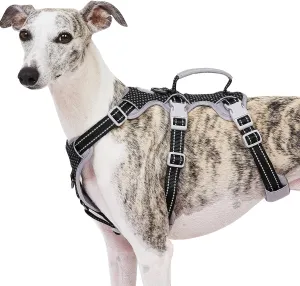 Escape Proof Dog Harness, No Pull Reflective Harness with Lift Handle, Adjustable Pet Vest with Front and Back Leash Clips for Small Medium Large Dogs Walking Hiking Training (Black,L)